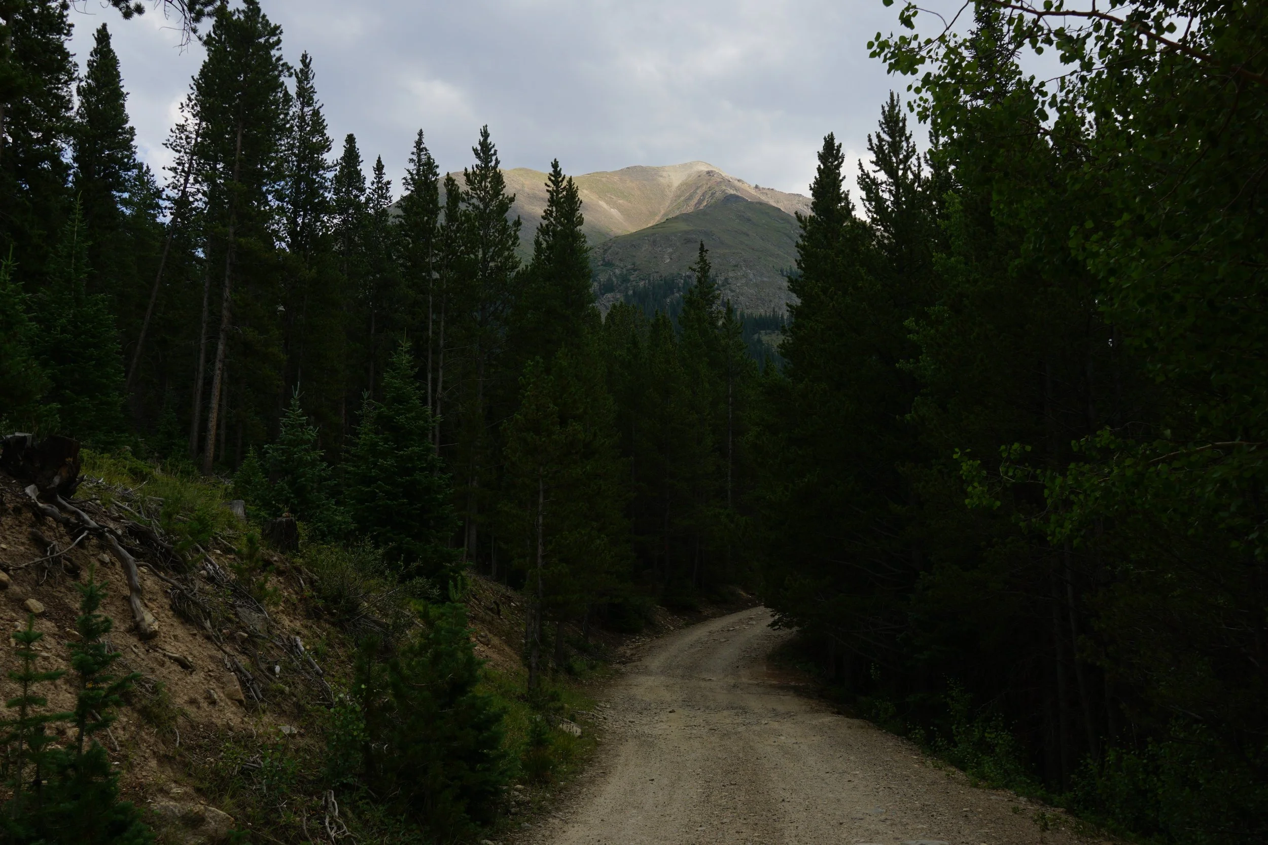 GrizzlyGulchDSC08570.JPG