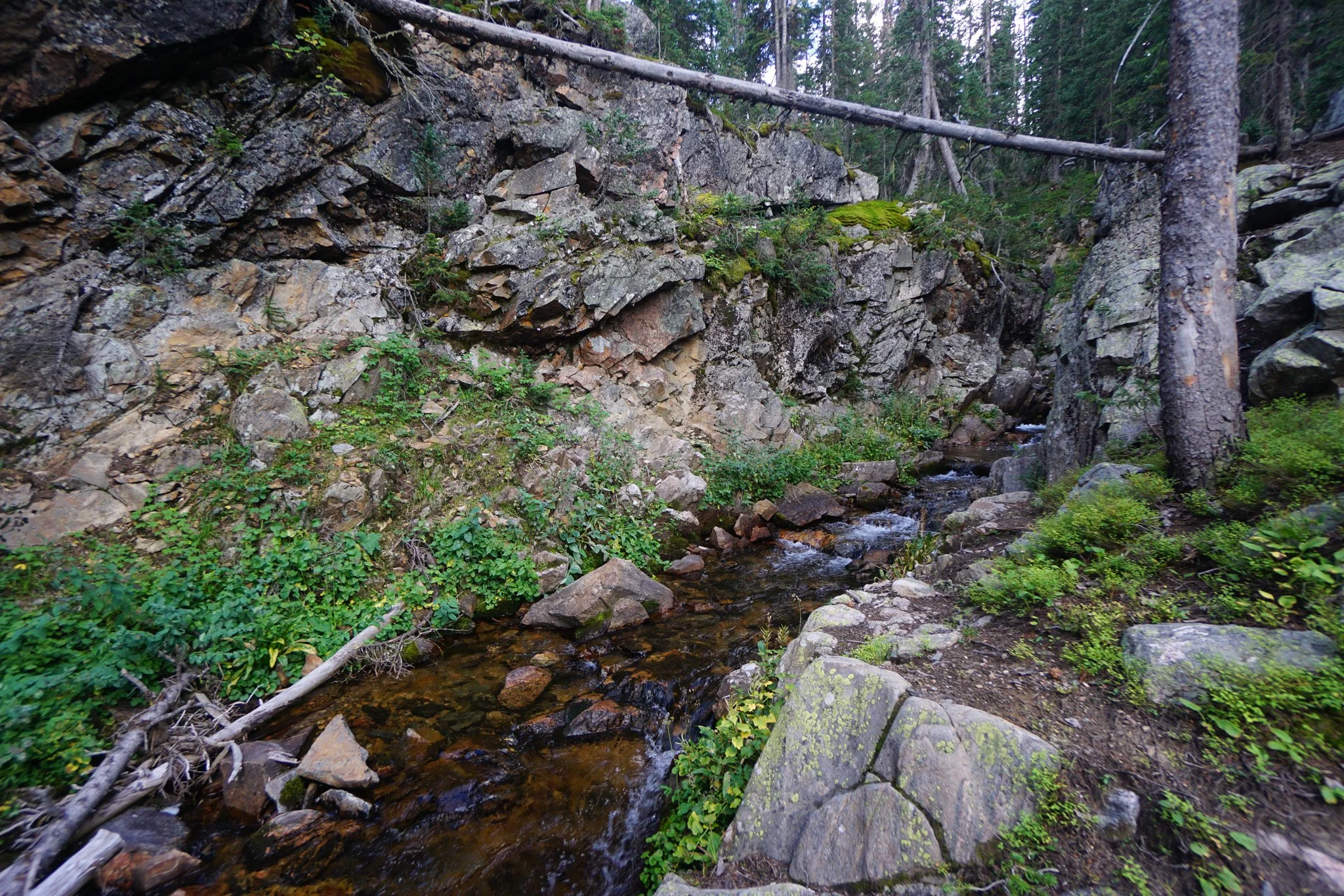 DSC04265-2.jpg