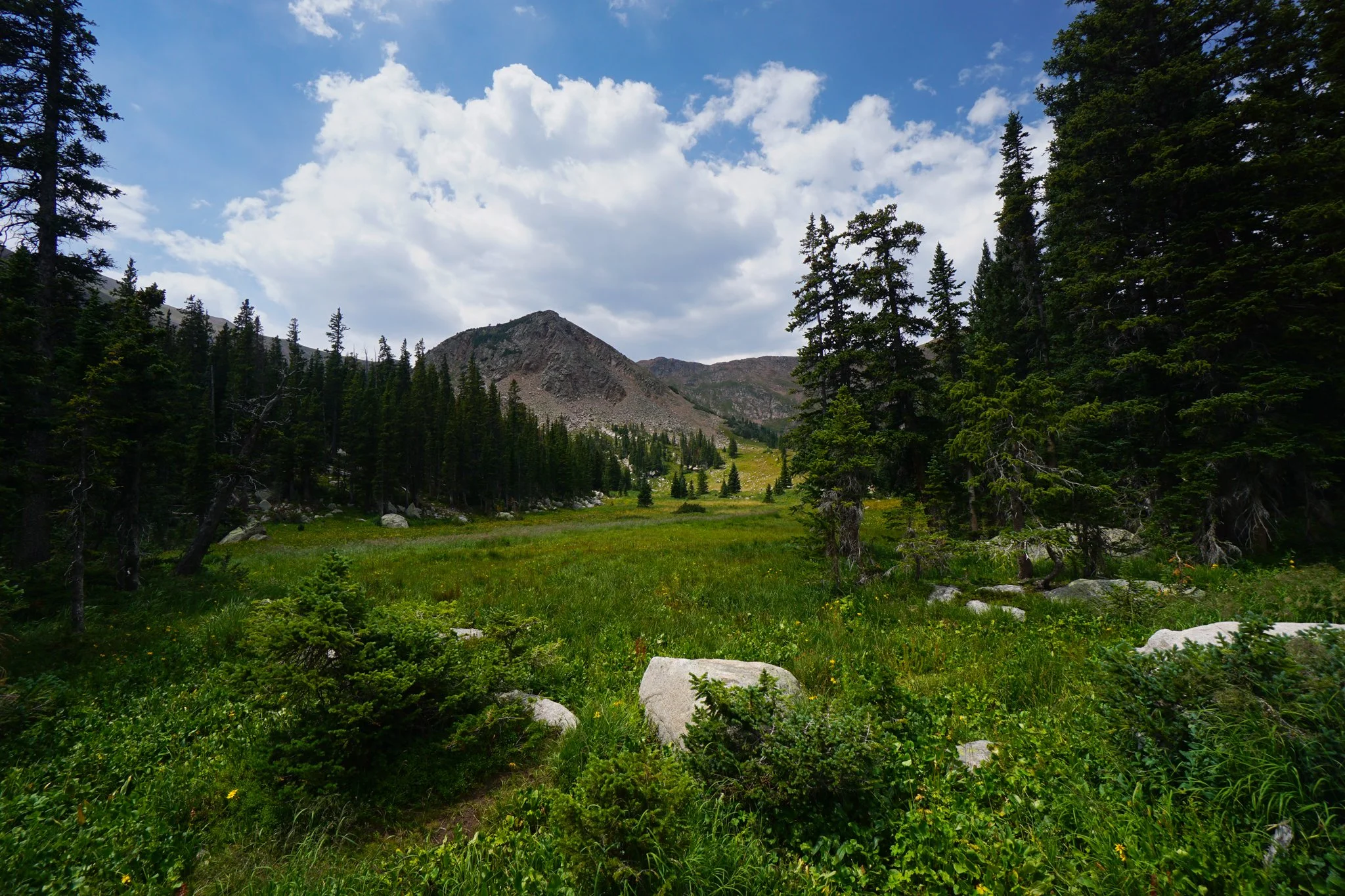 HeartLakeDSC03981-2.jpg