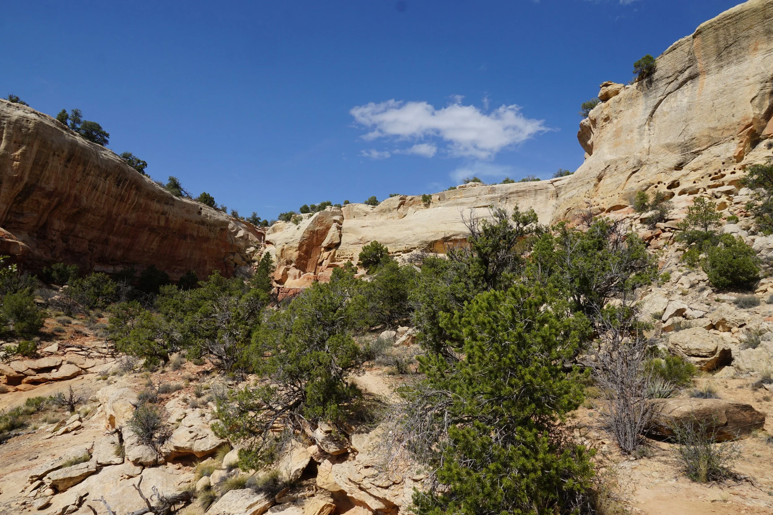 SandCanyonDSC03452.JPG