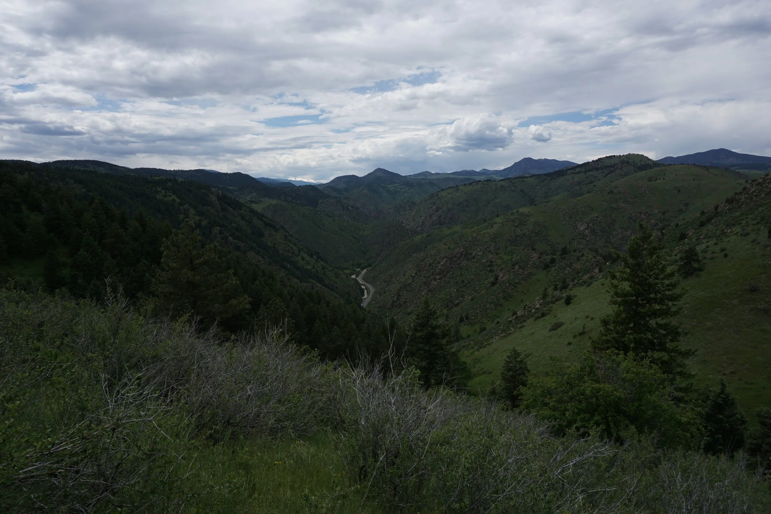 LookoutMtTrailDSC00296.jpg