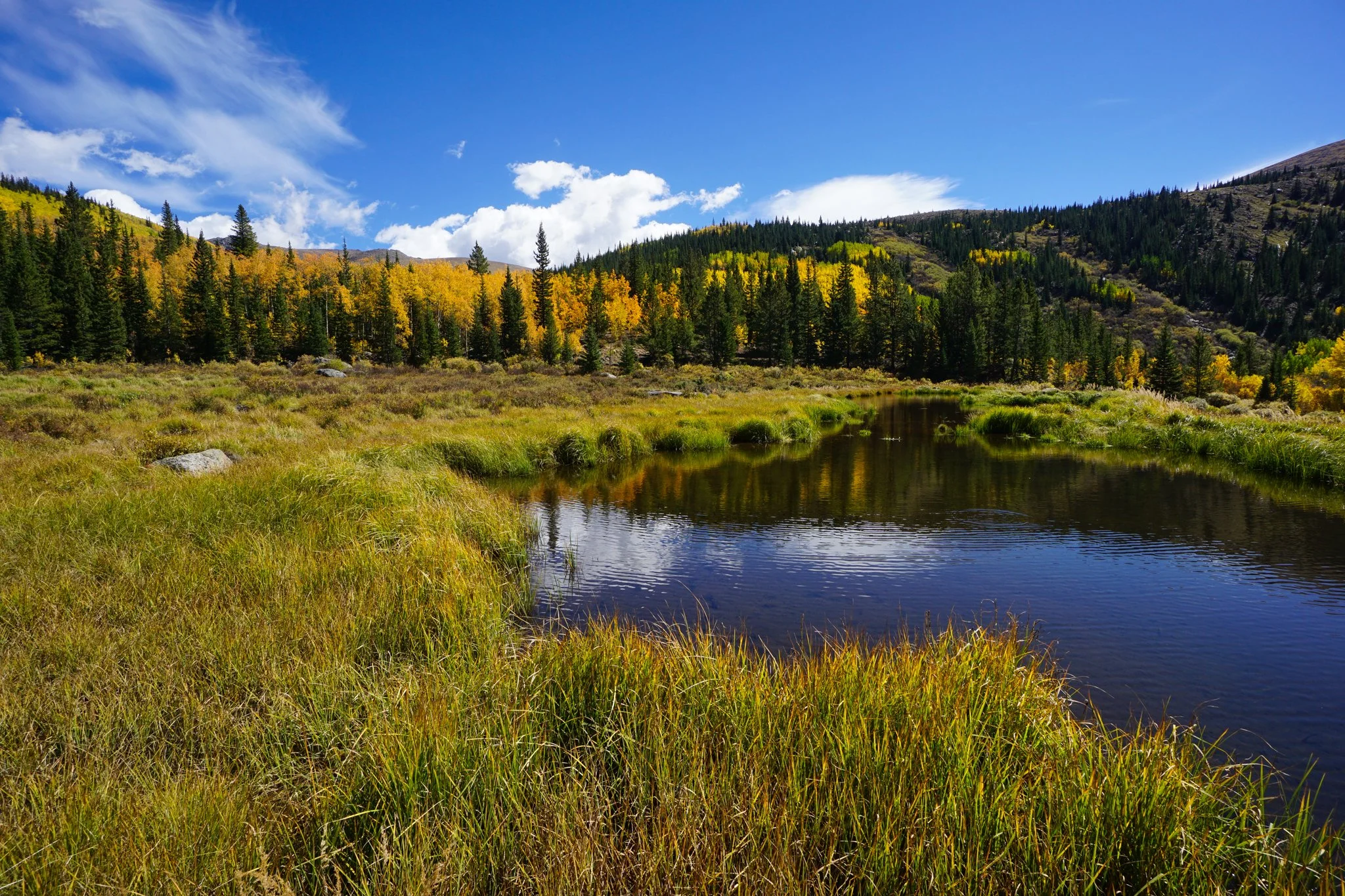 AbyssTrailDSC04932-2.jpg