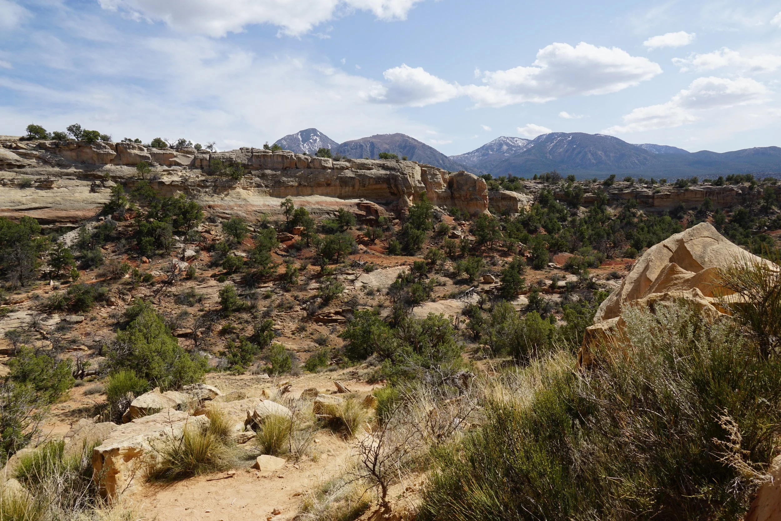 SandCanyonDSC03475.JPG