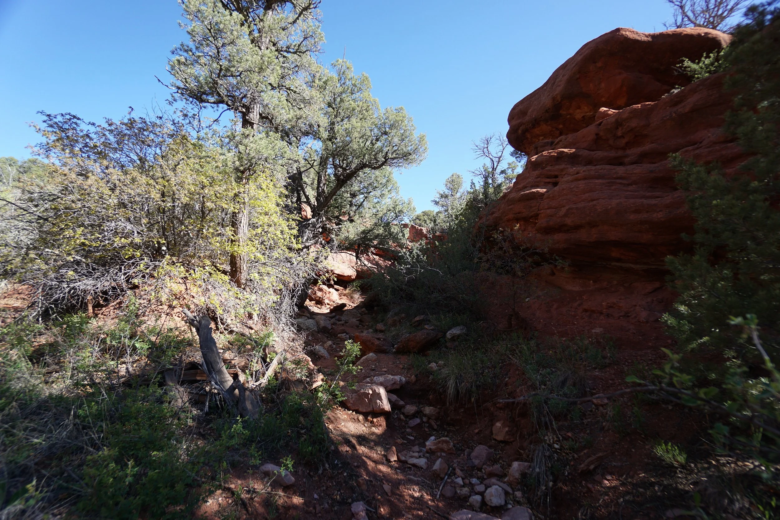 RedRockParkDSC04350-X5.jpg