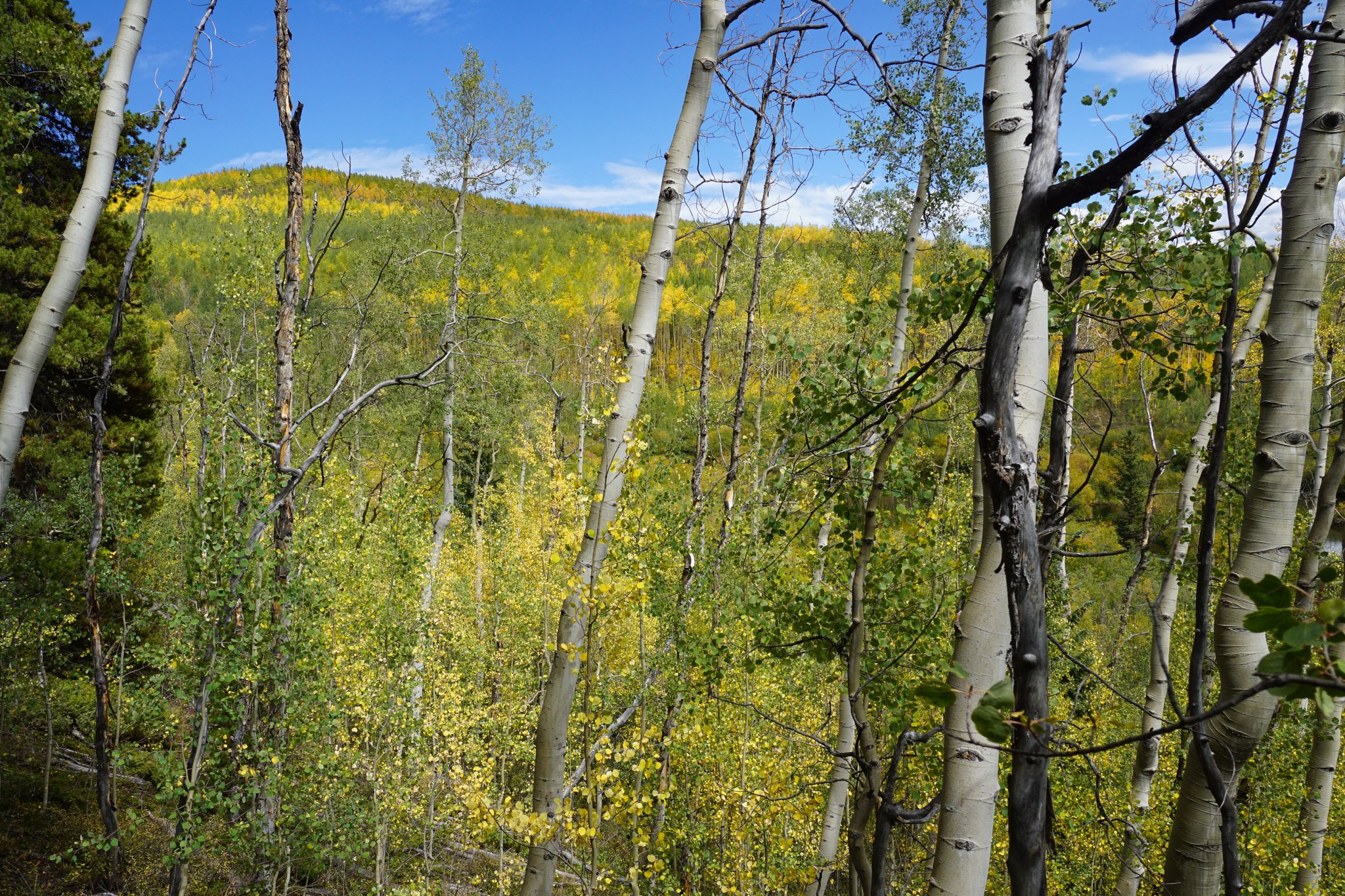 CTLowerElbertDSC04455-2.jpg