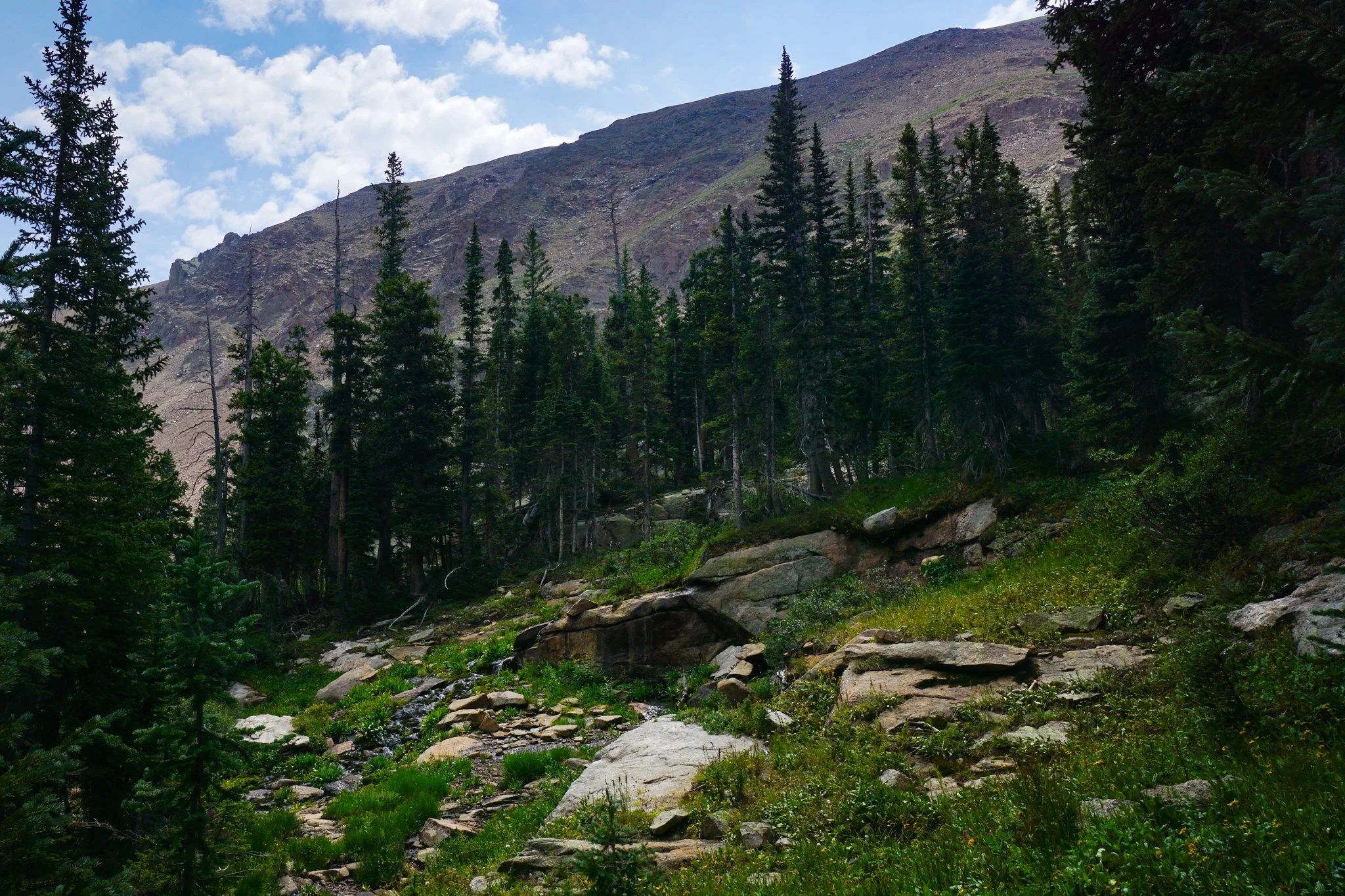 HeartLakeDSC03962-2.jpg