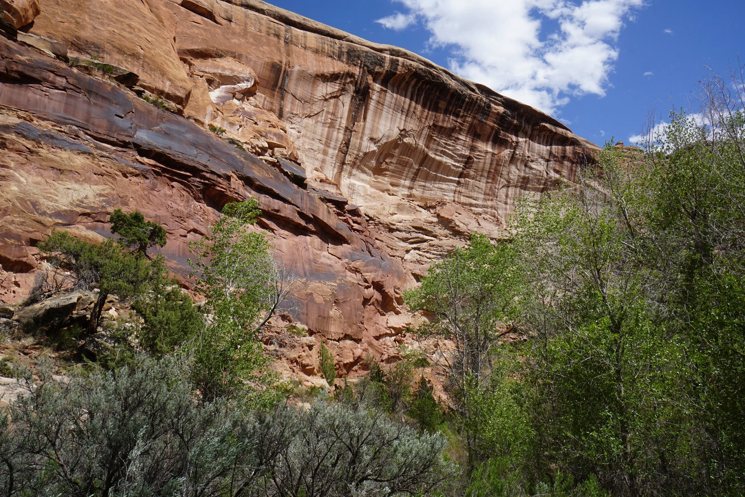 EchoCanyonCOLMDSC06191.JPG