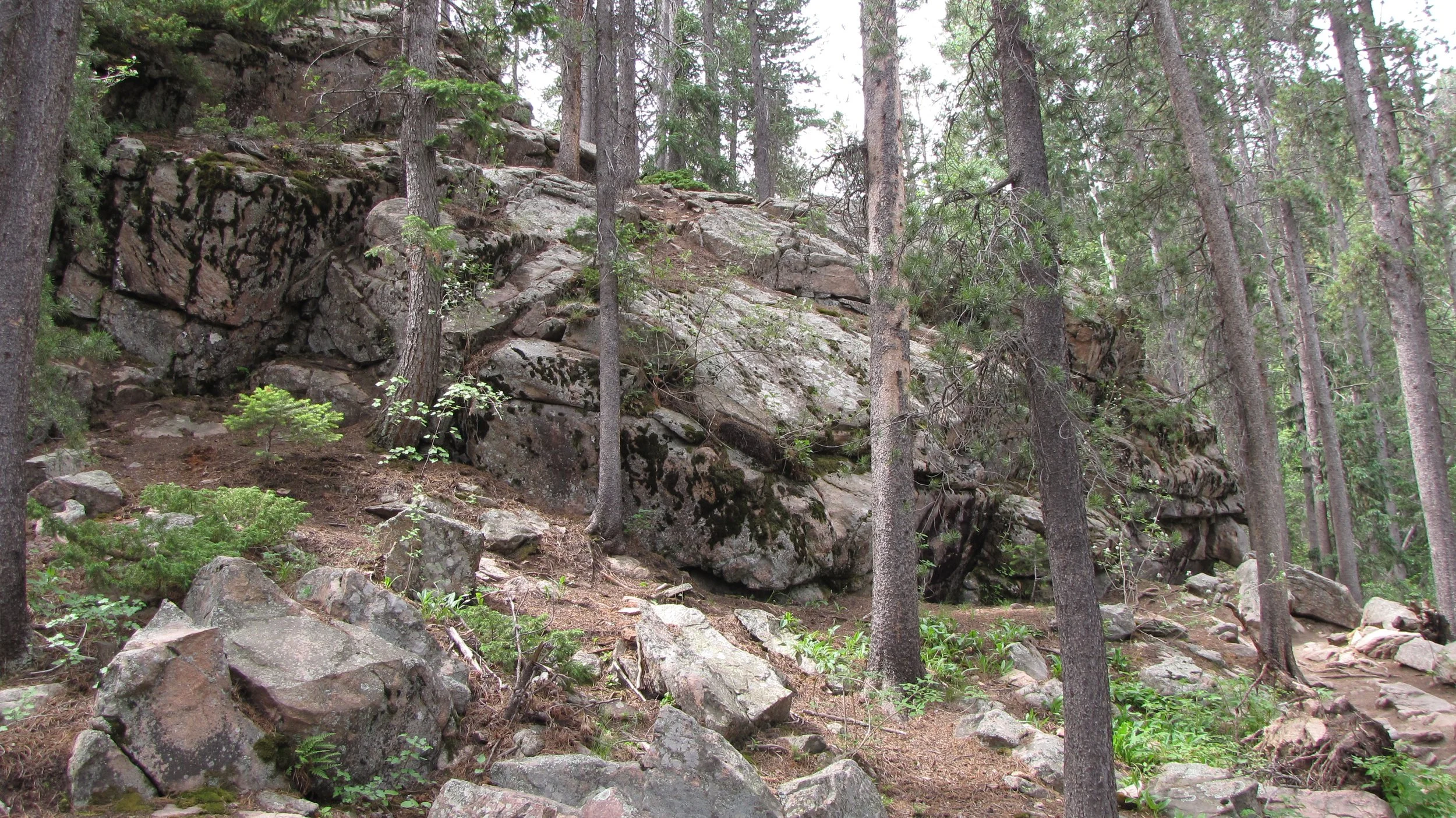MaxwellFallsIMG_0443.jpg