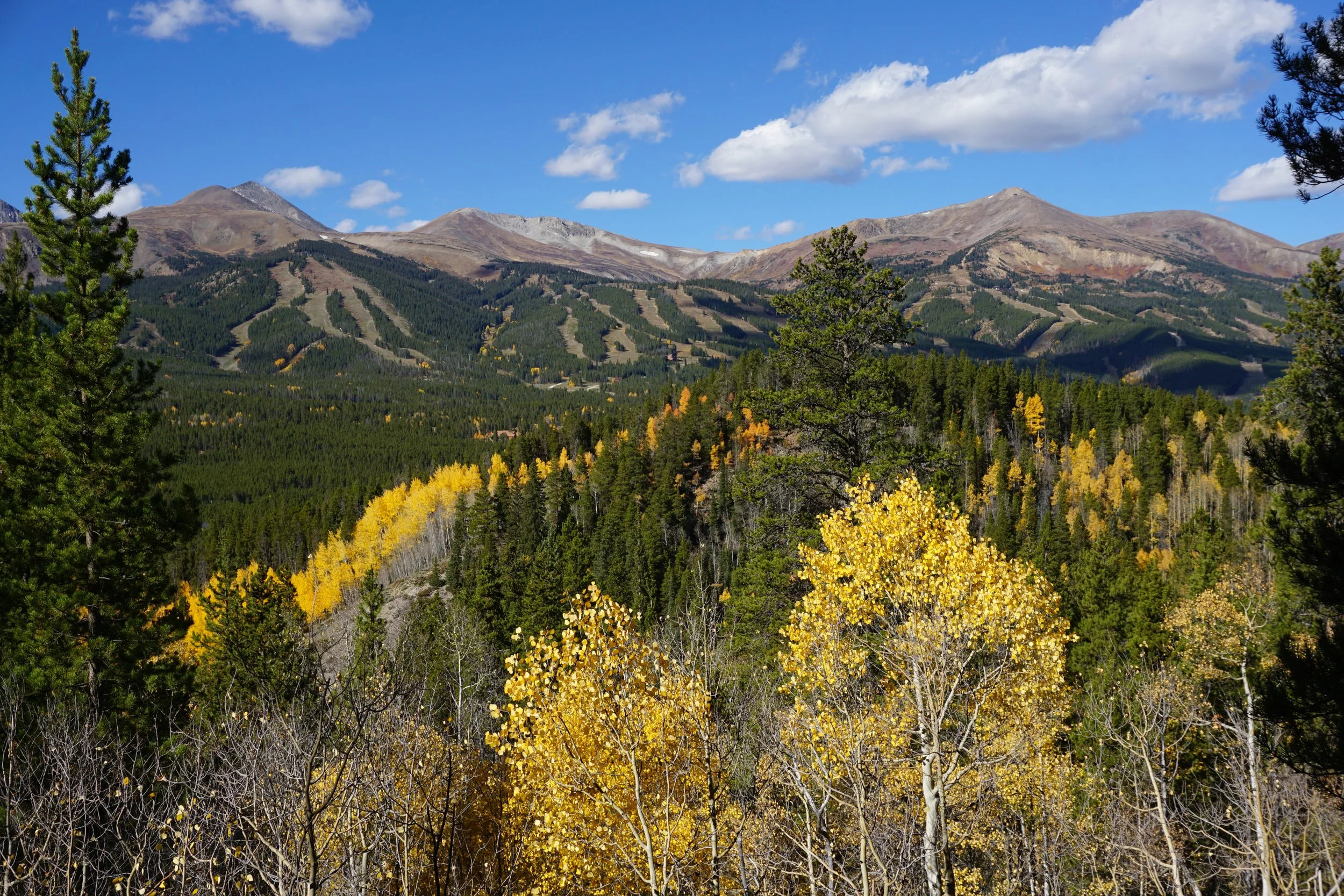AspenAlleyDSC08596.JPG