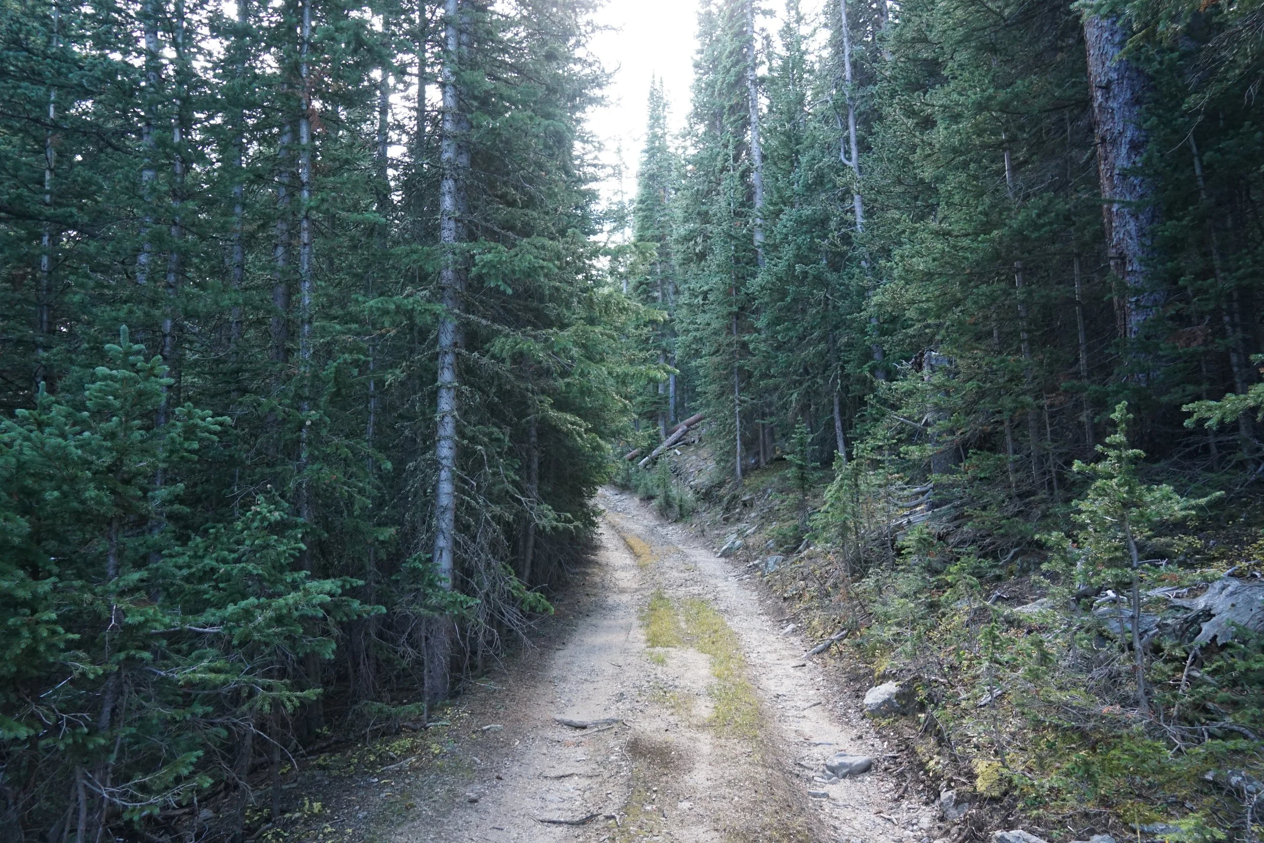 GHC Arapaho Springs 27.JPG