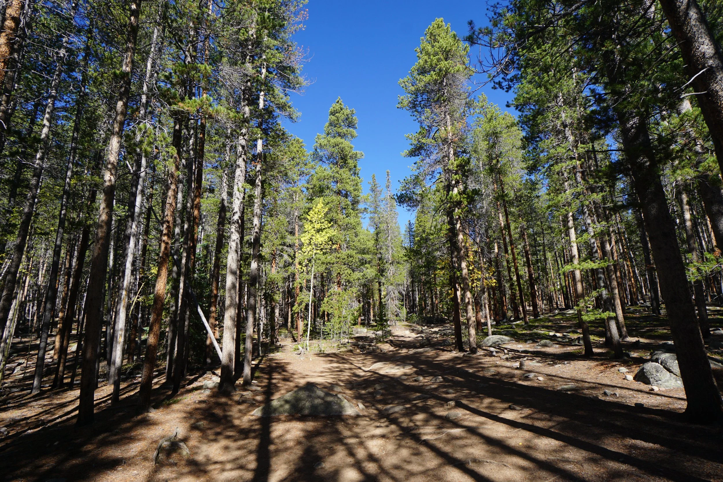 AbyssTrailDSC04745.JPG