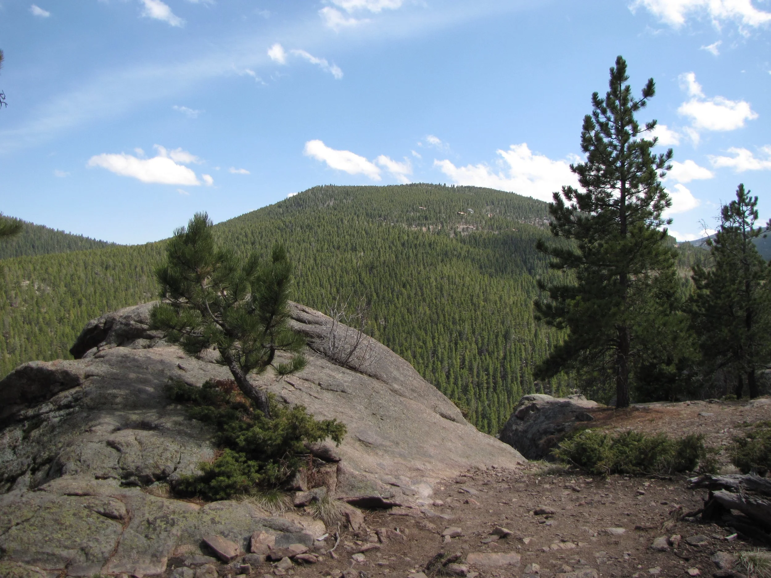 MaxwellFallsIMG_8034.jpg