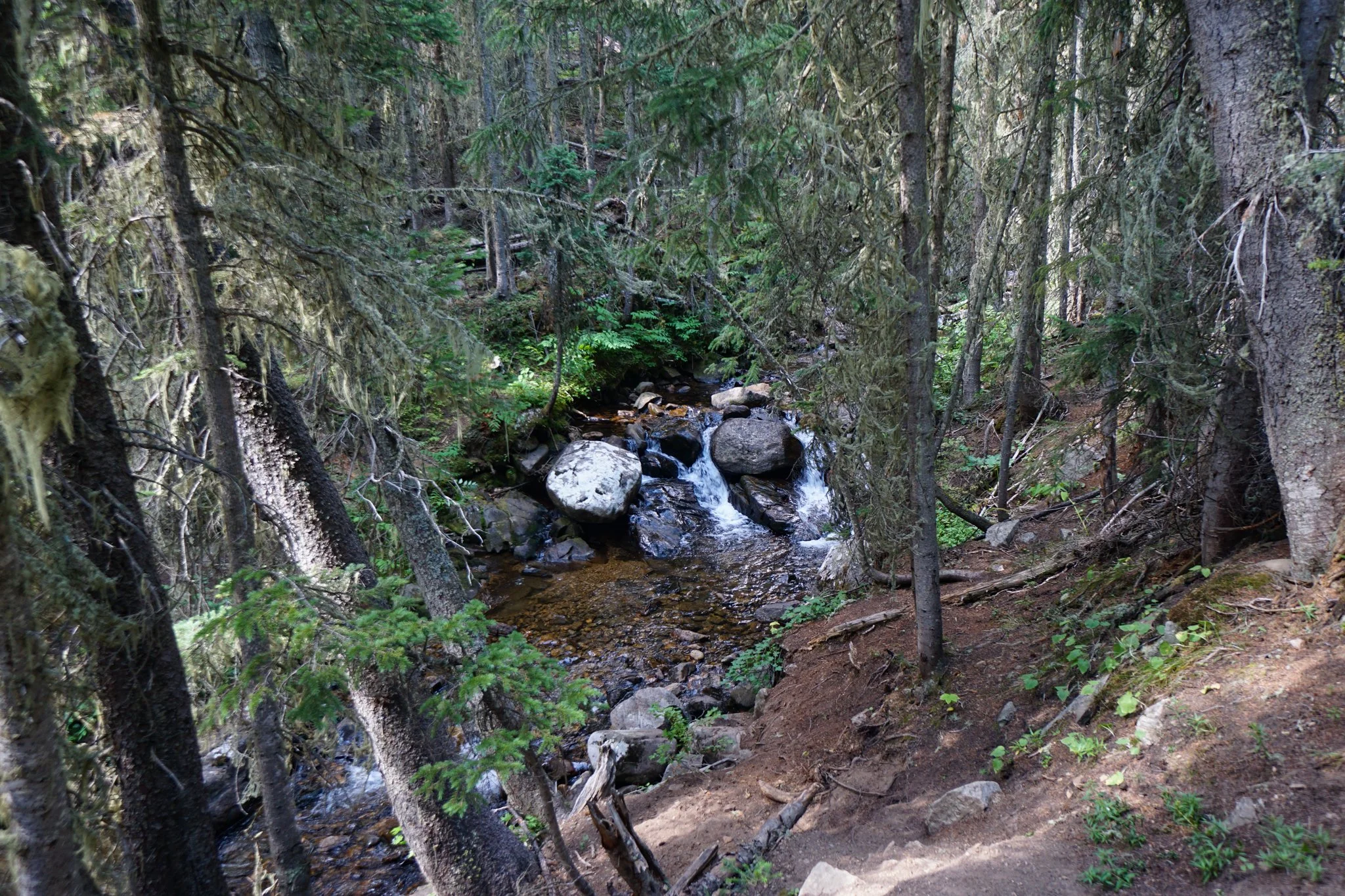 HeartLakeDSC03927-2.jpg