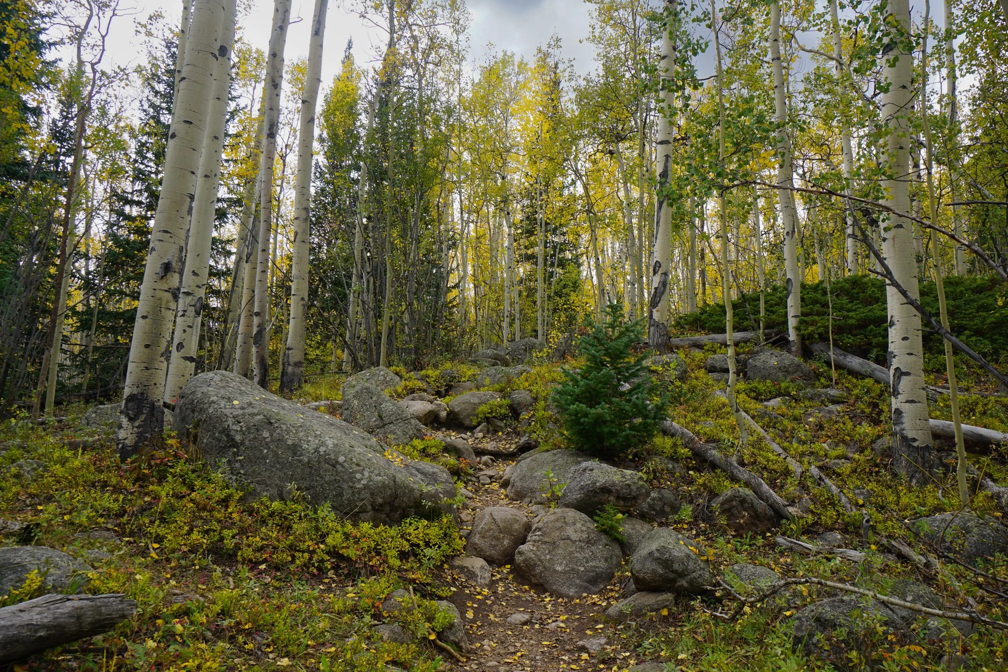 HellsHoleDSC04642-2.jpg