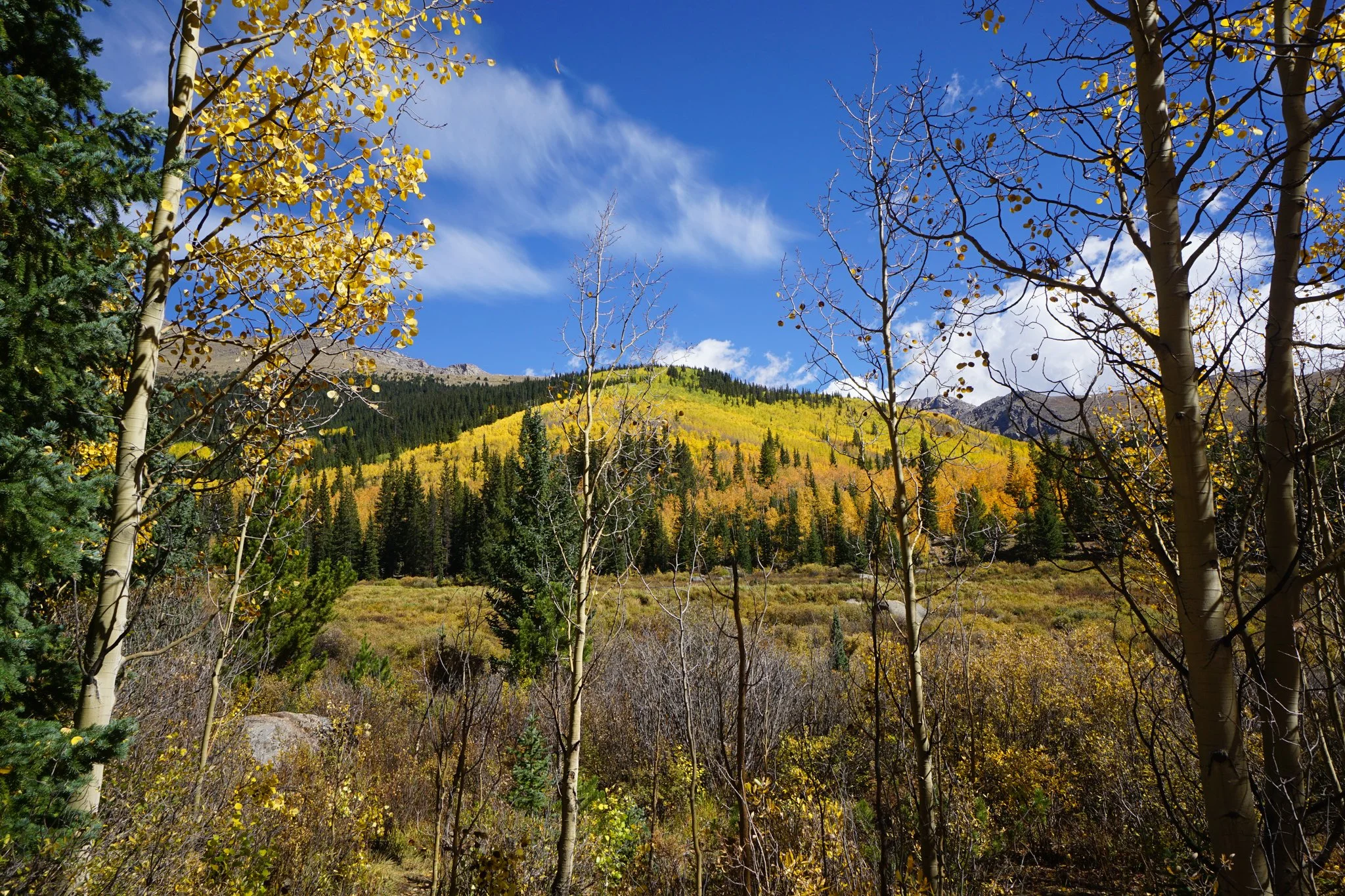 AbyssTrailDSC04909-2.jpg