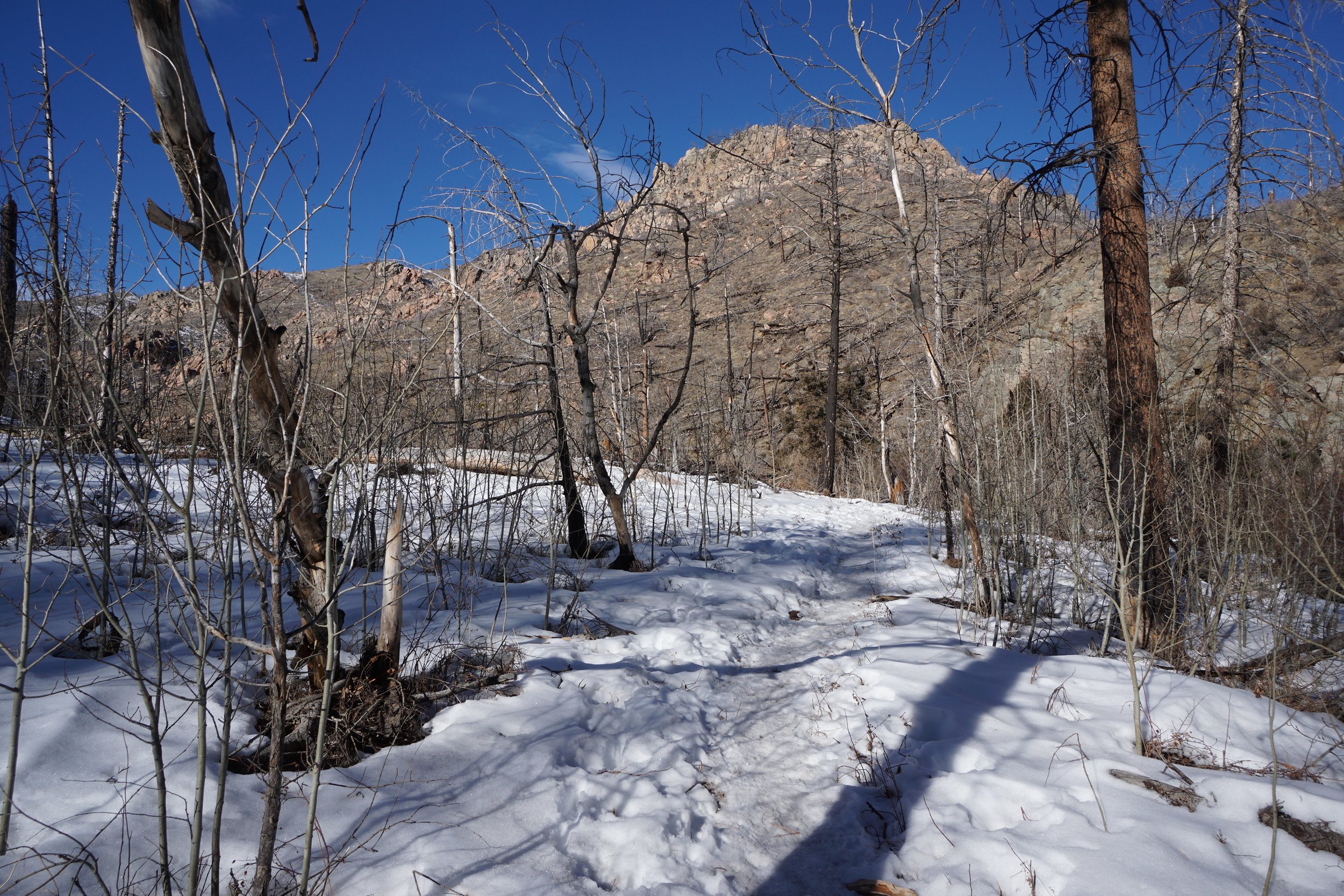 YoungGulchDSC00011-X5.jpg