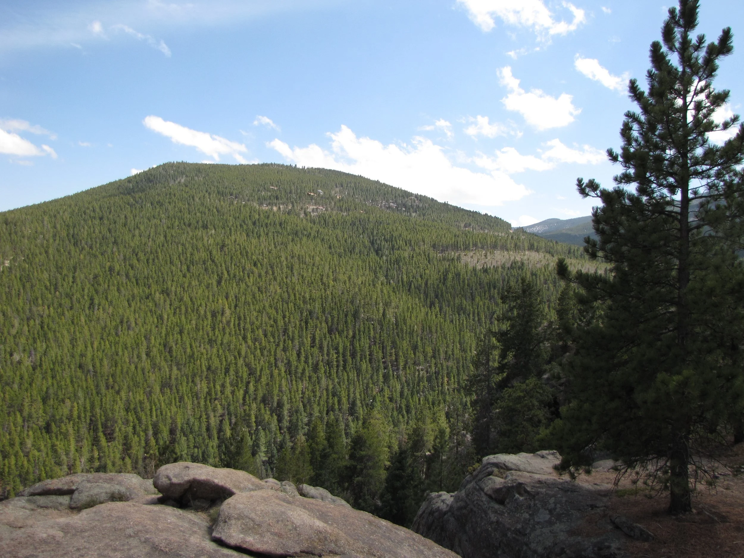 MaxwellFallsIMG_8036.jpg