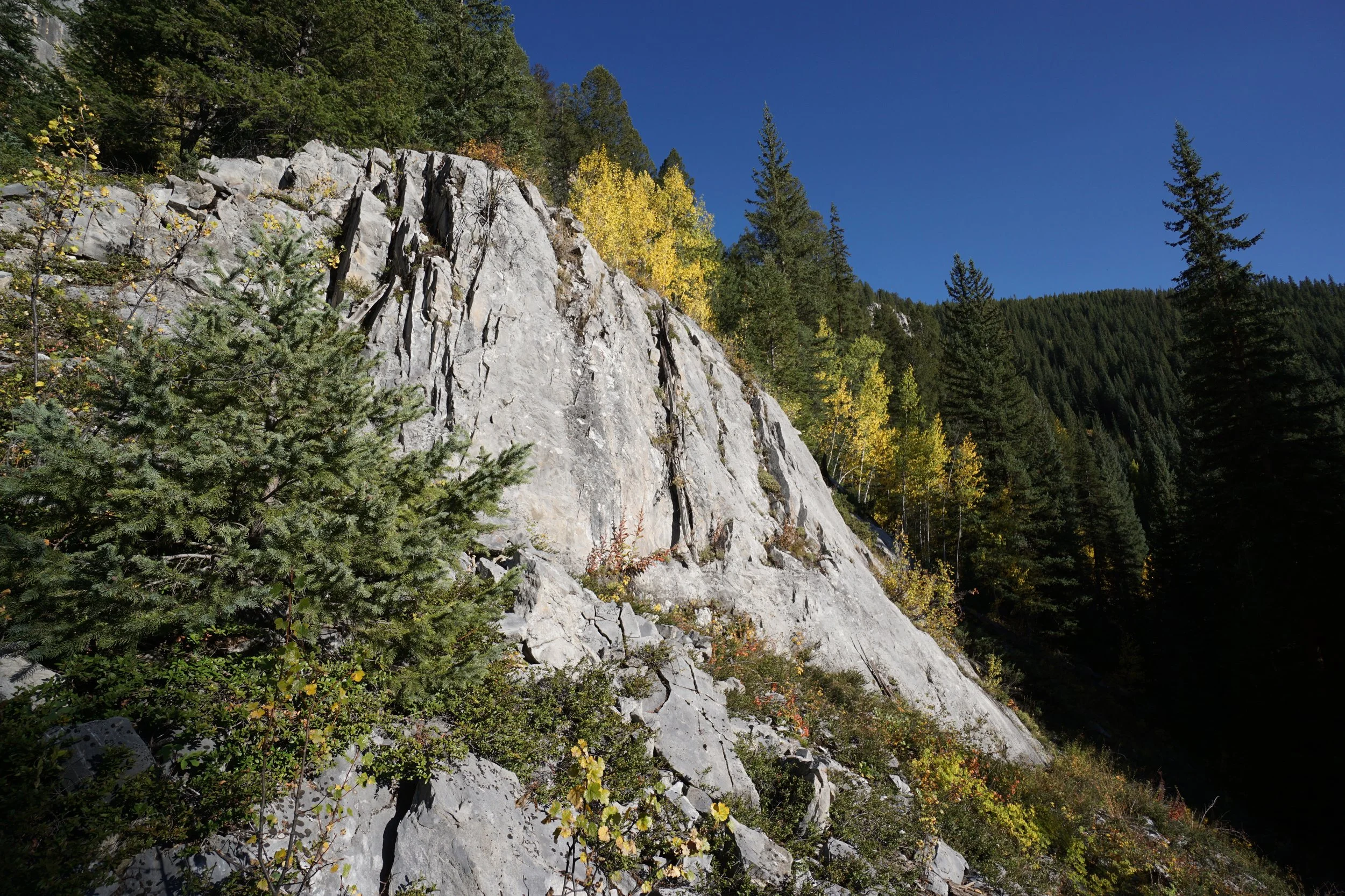 Eagle LakeDSC06716.JPG