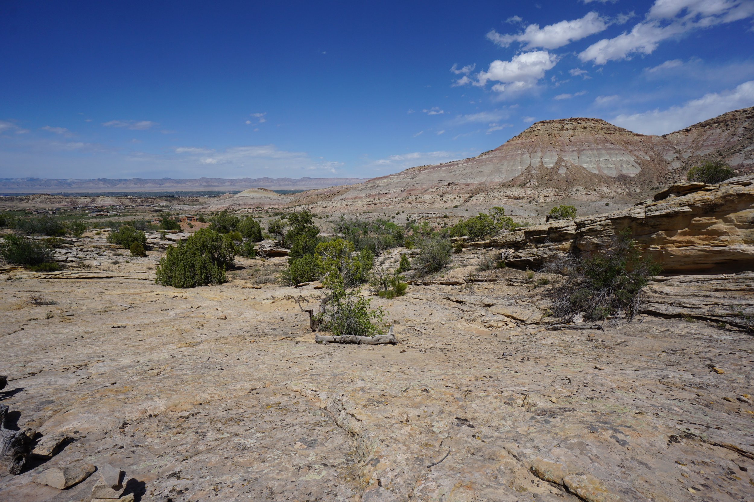 EchoCanyonCOLMDSC06158.JPG