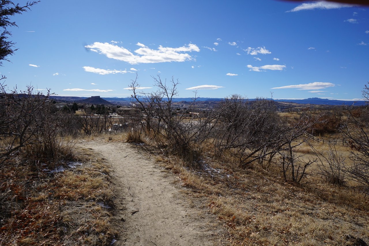 DSC01297-X2.jpg
