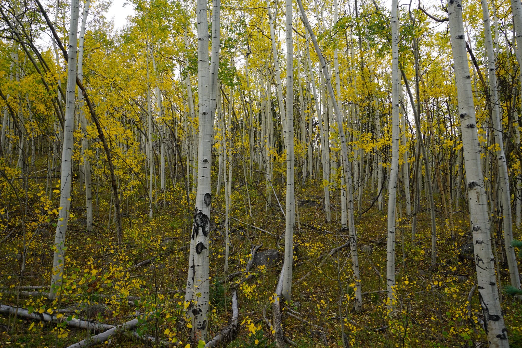 HellsHoleDSC04631-2.jpg