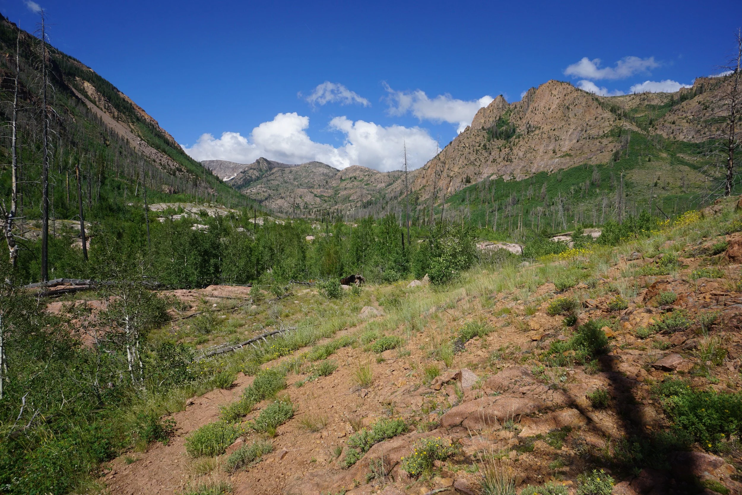 RedCanyonDSC04139.JPG