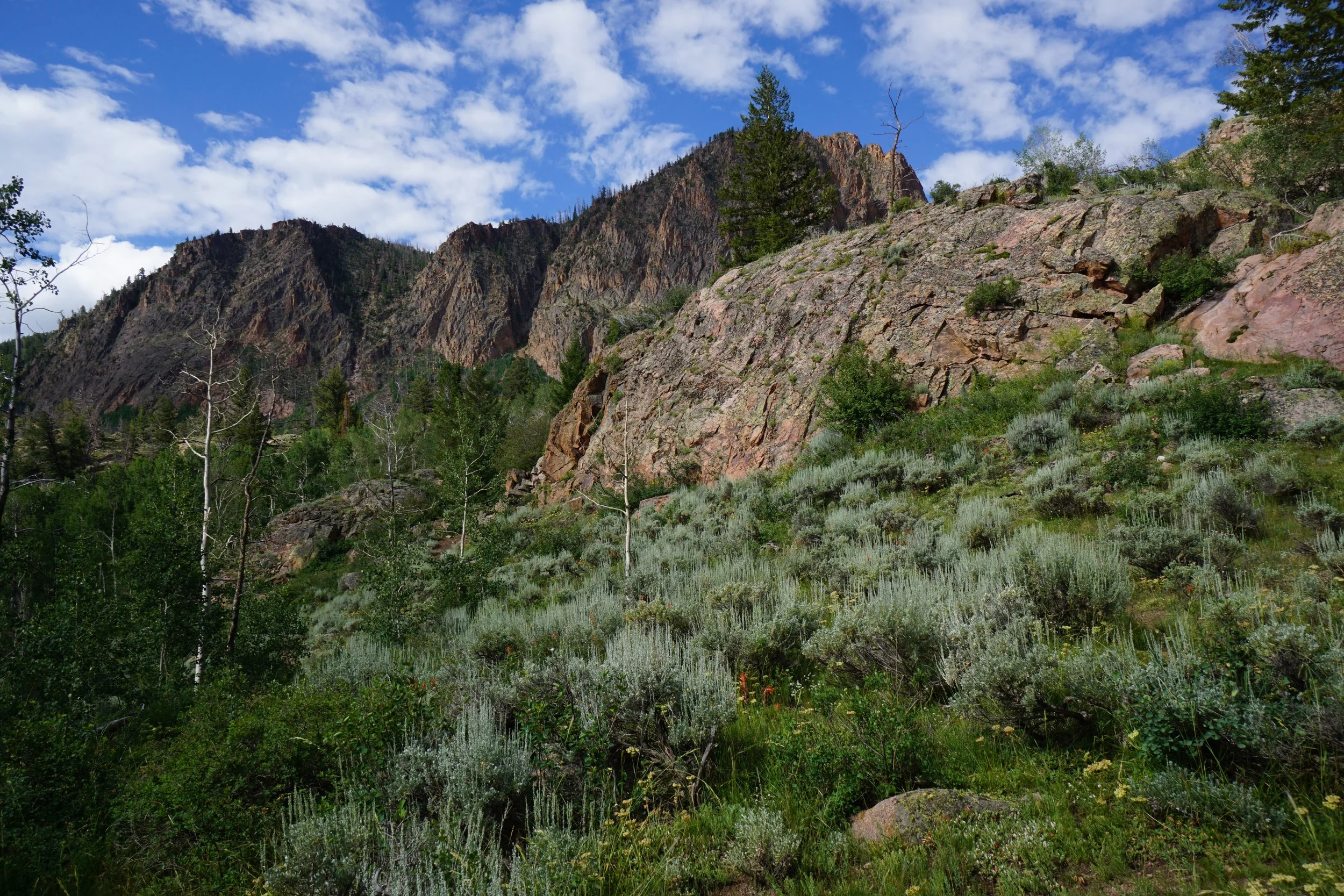 RedCanyonDSC04101.JPG