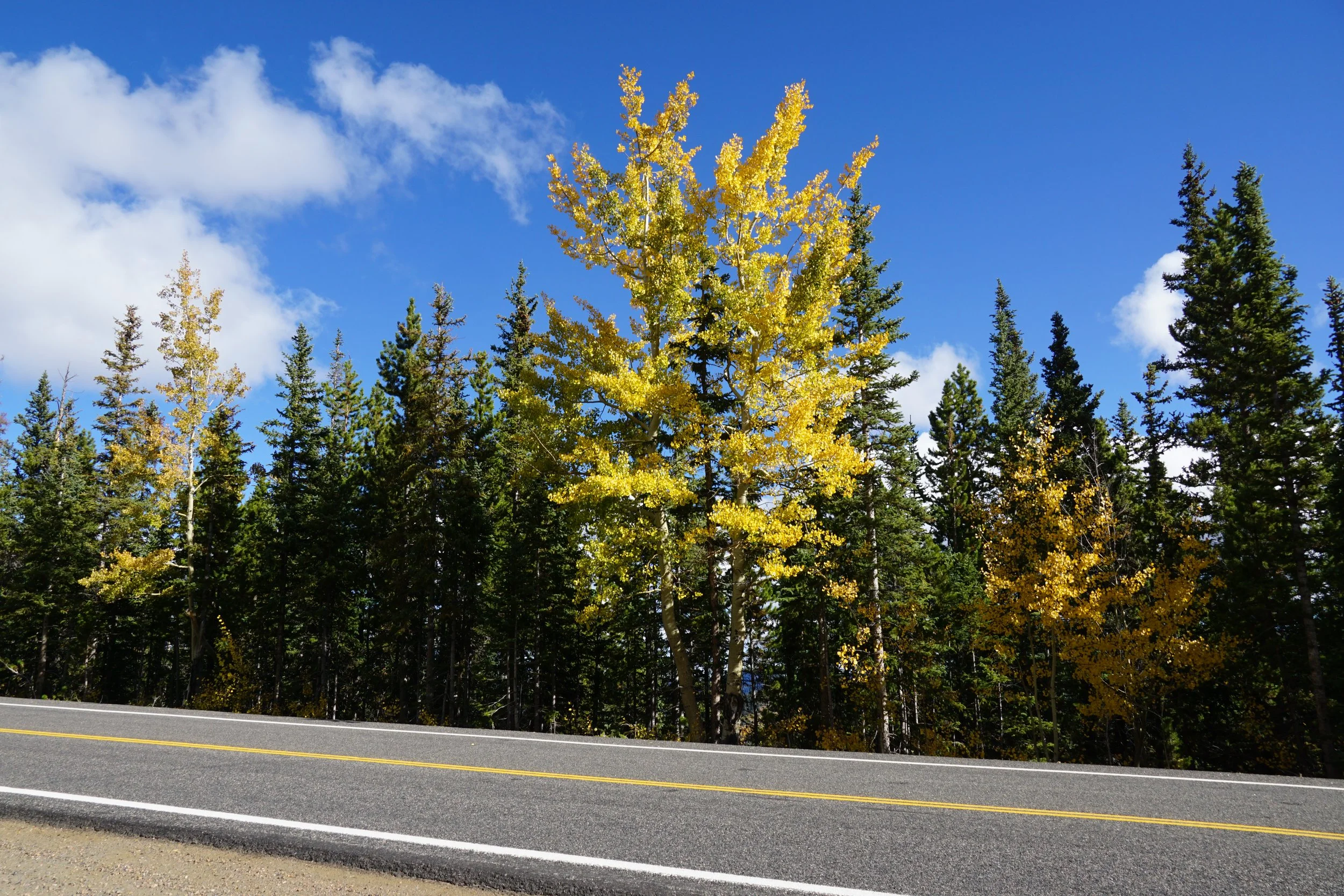 GHC Arapaho Springs 1.JPG