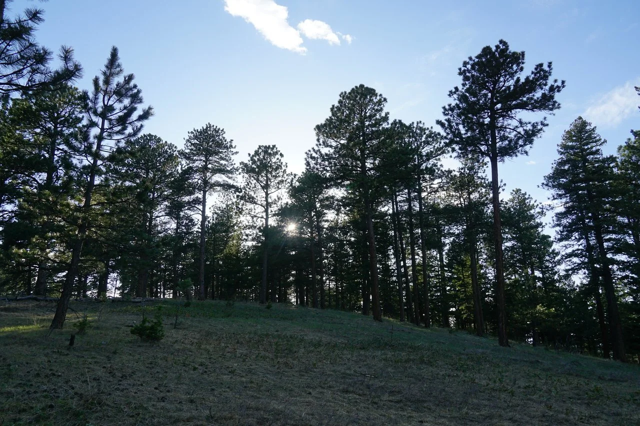 RangeViewOSMPDSC03631-X2.jpg