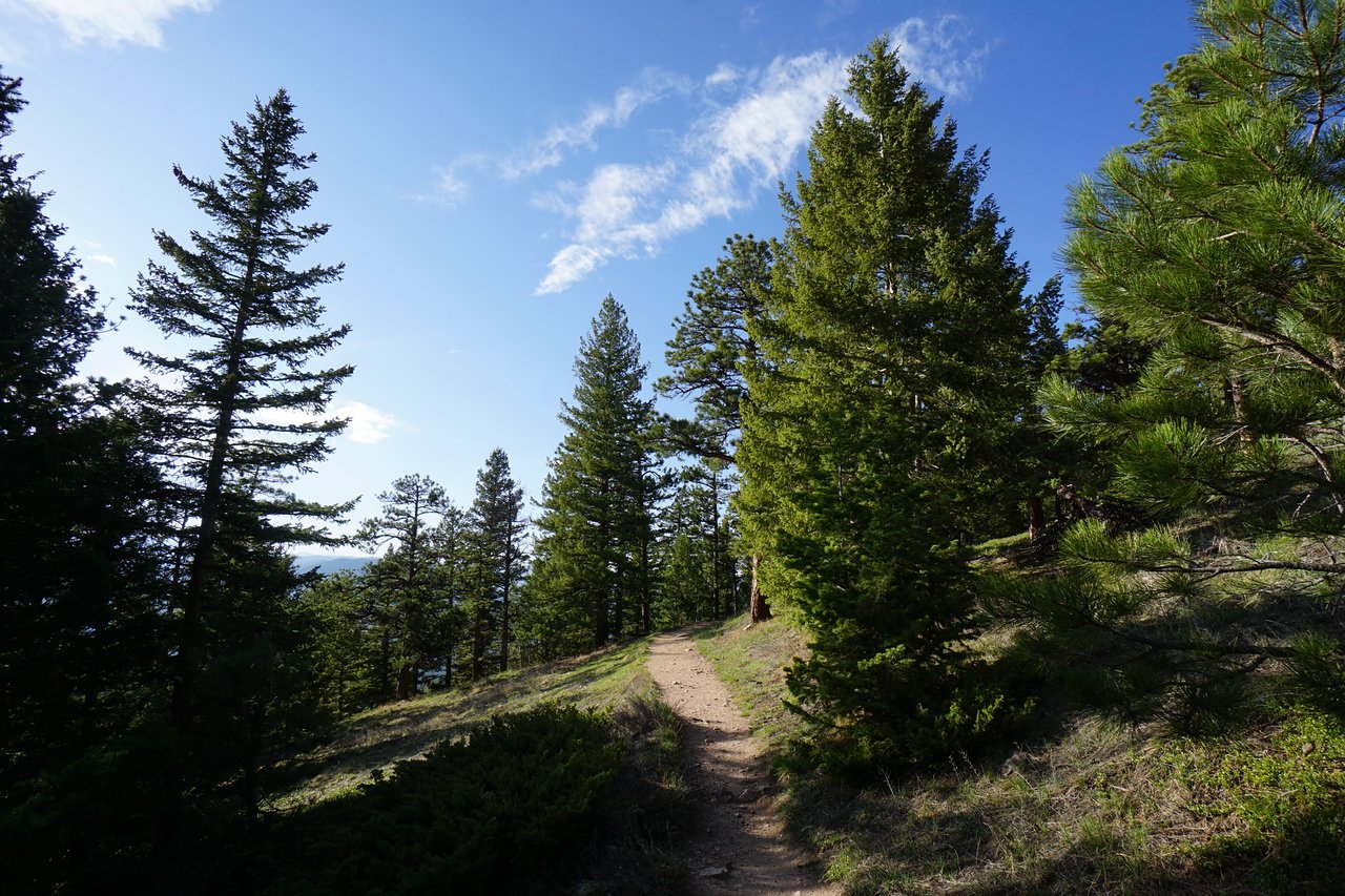RangeViewOSMPDSC03585-X2.jpg