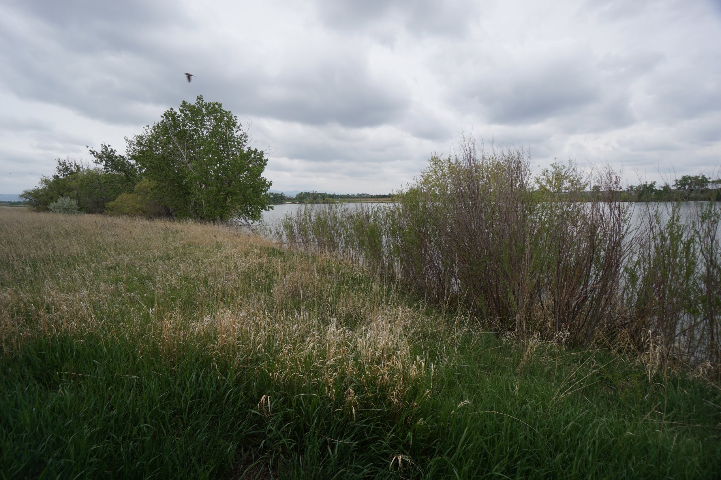 FossilCreekResDSC03091.JPG