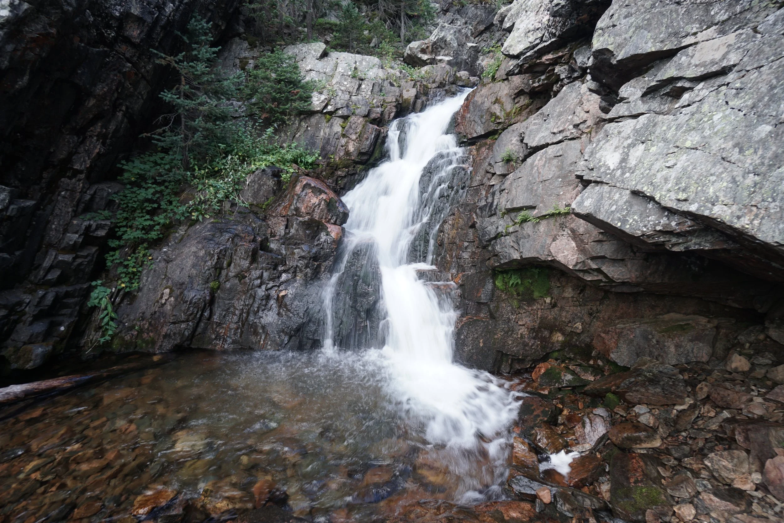 DSC04246.JPG