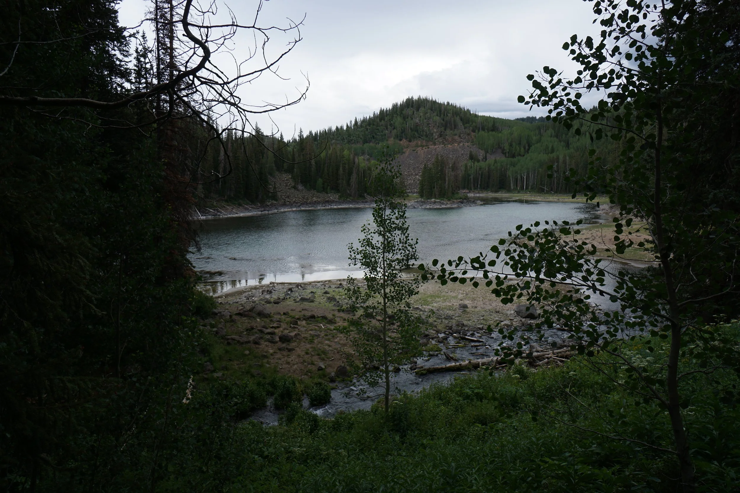 LostLakeGMNFDSC05462-X5.jpg