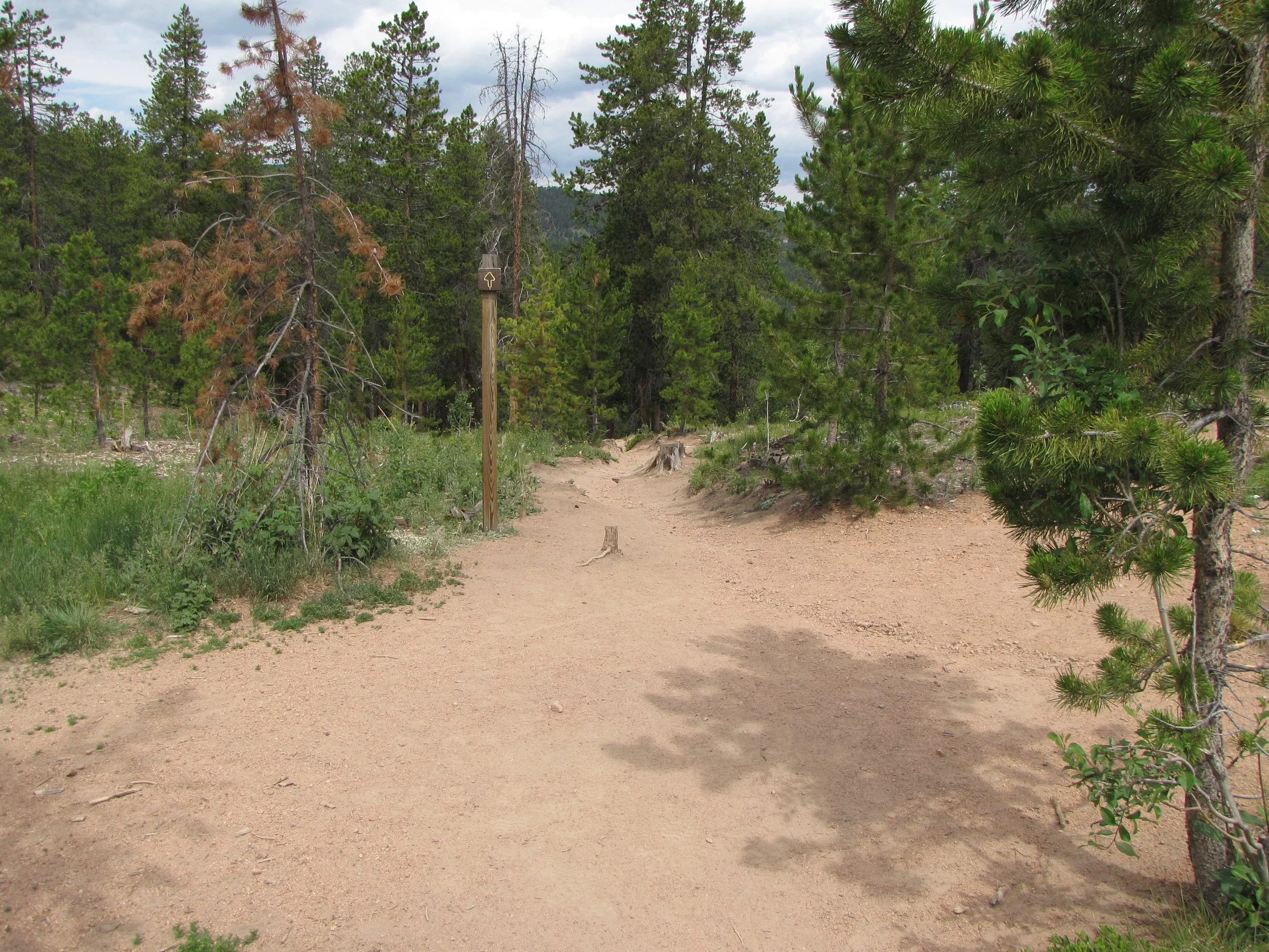 MaxwellFallsIMG_0451.jpg