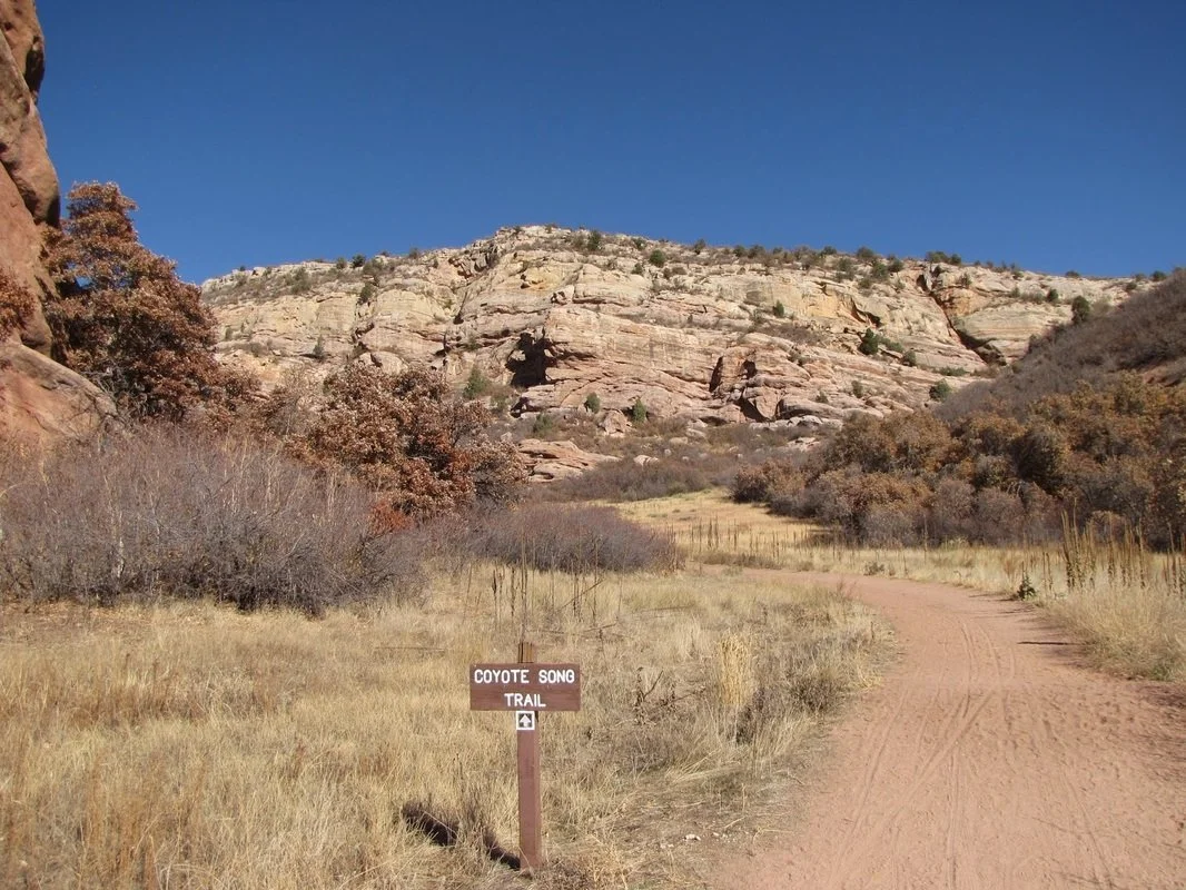 CoyoteSong1.jpg