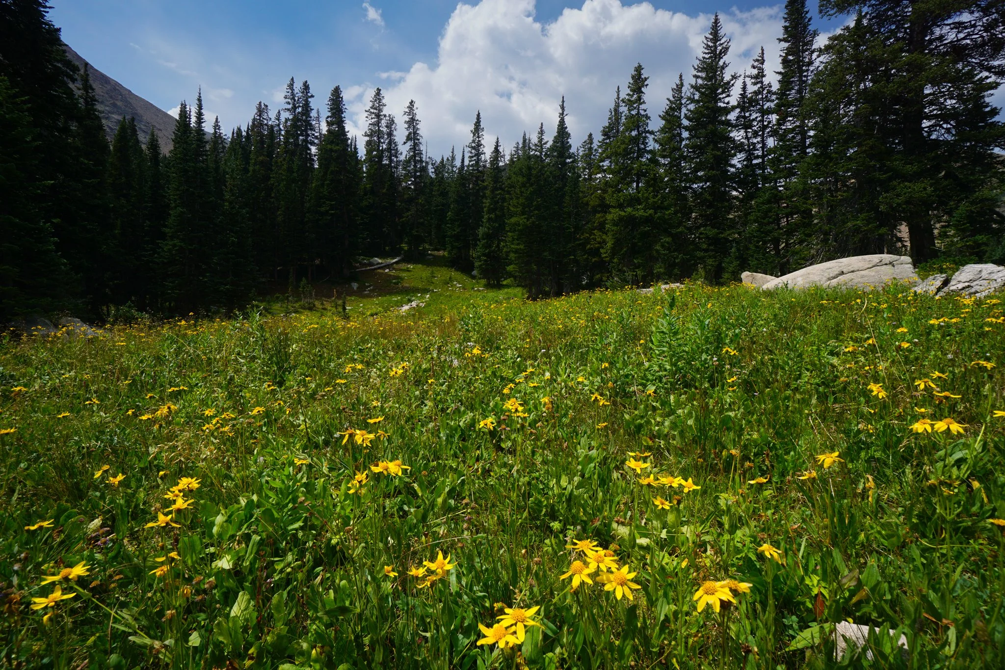 HeartLakeDSC03974-2.jpg