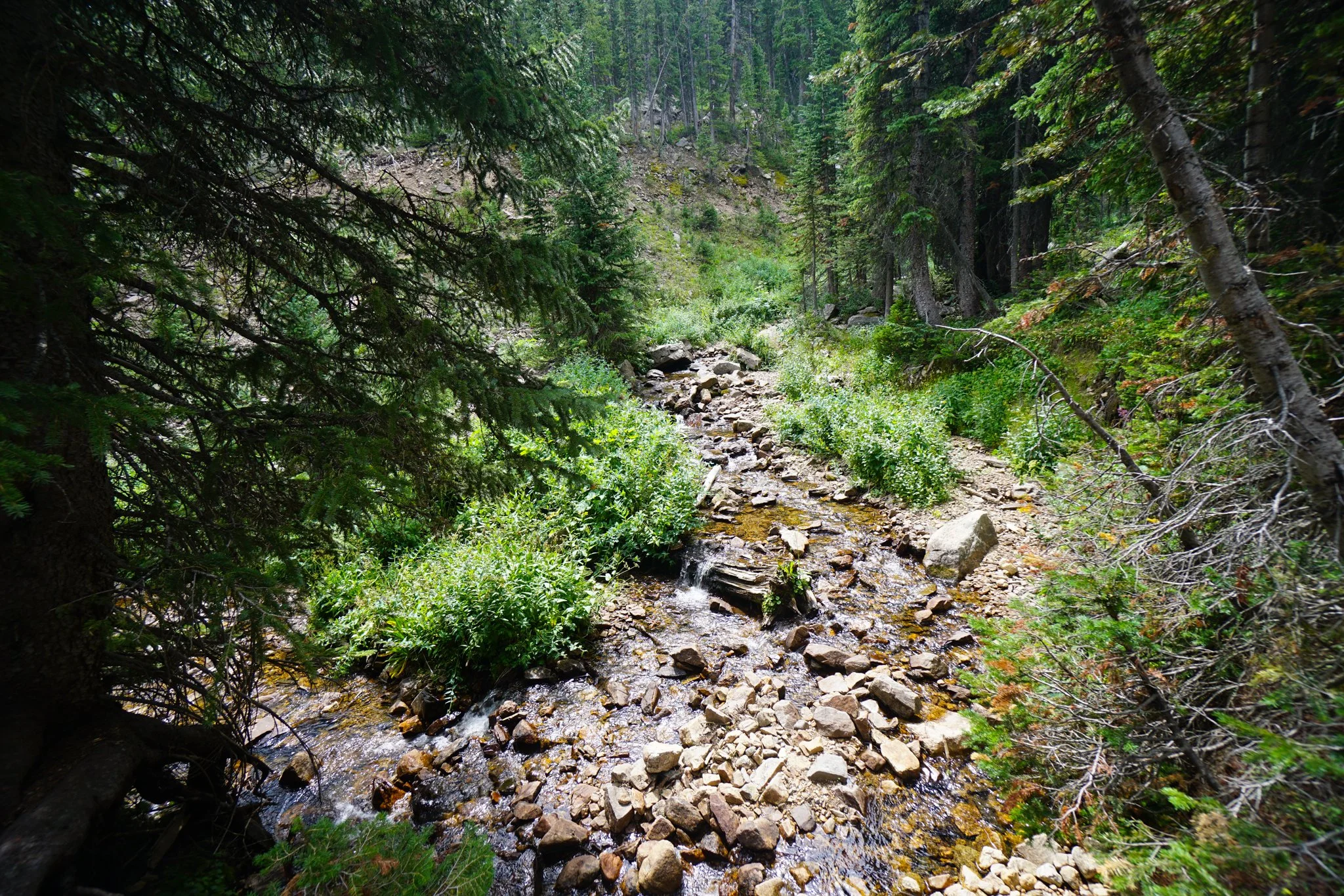 HeartLakeDSC03940-2.jpg