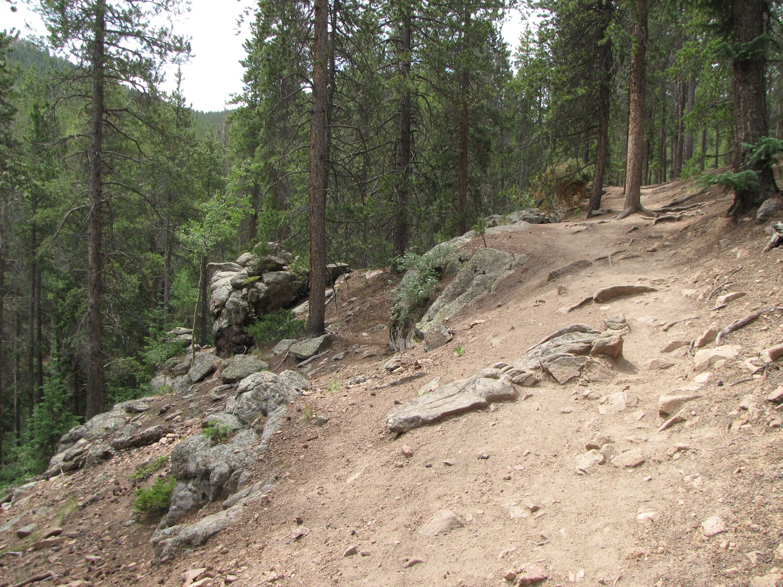 MaxwellFallsIMG_0447.jpg