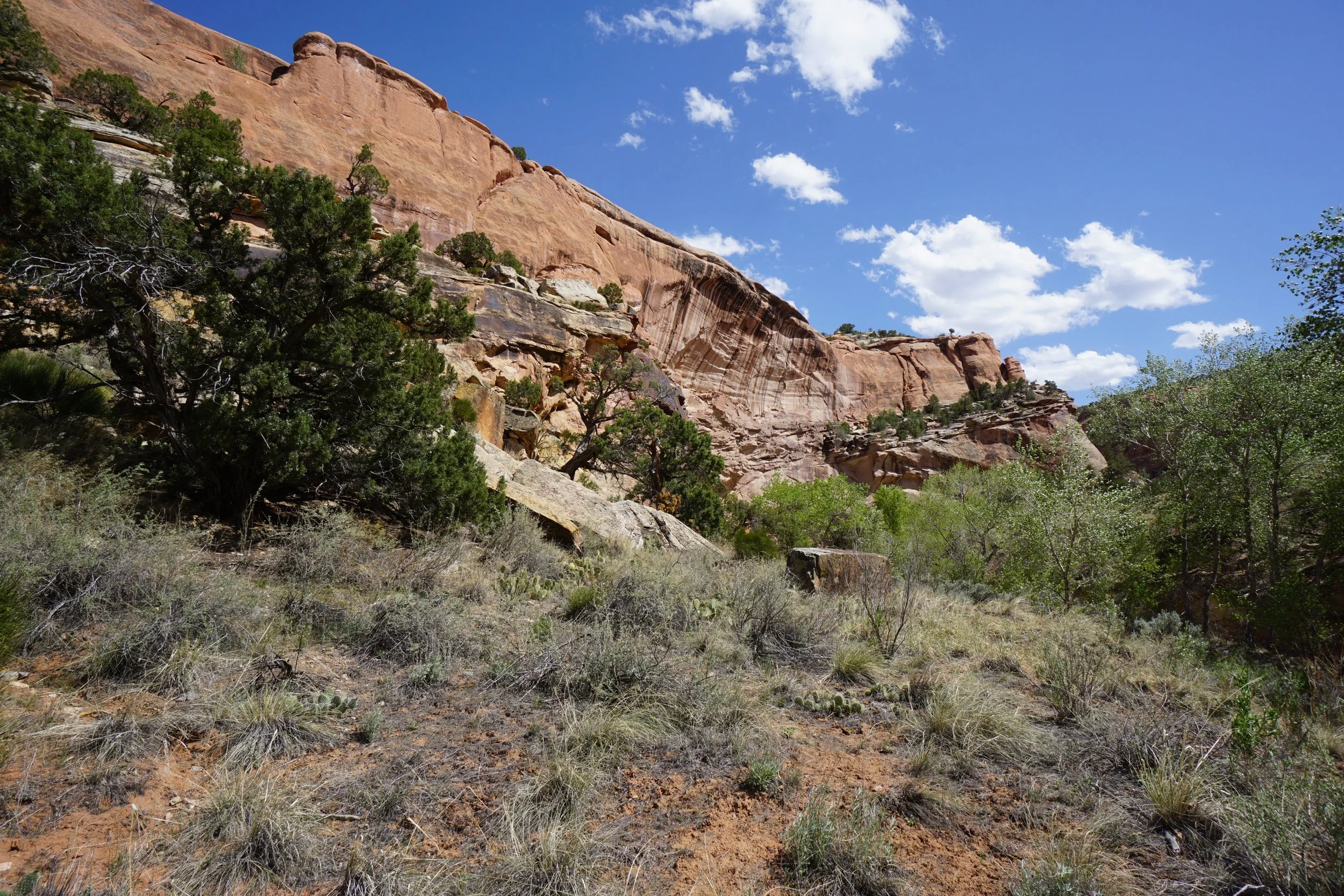 EchoCanyonCOLMDSC06181.JPG