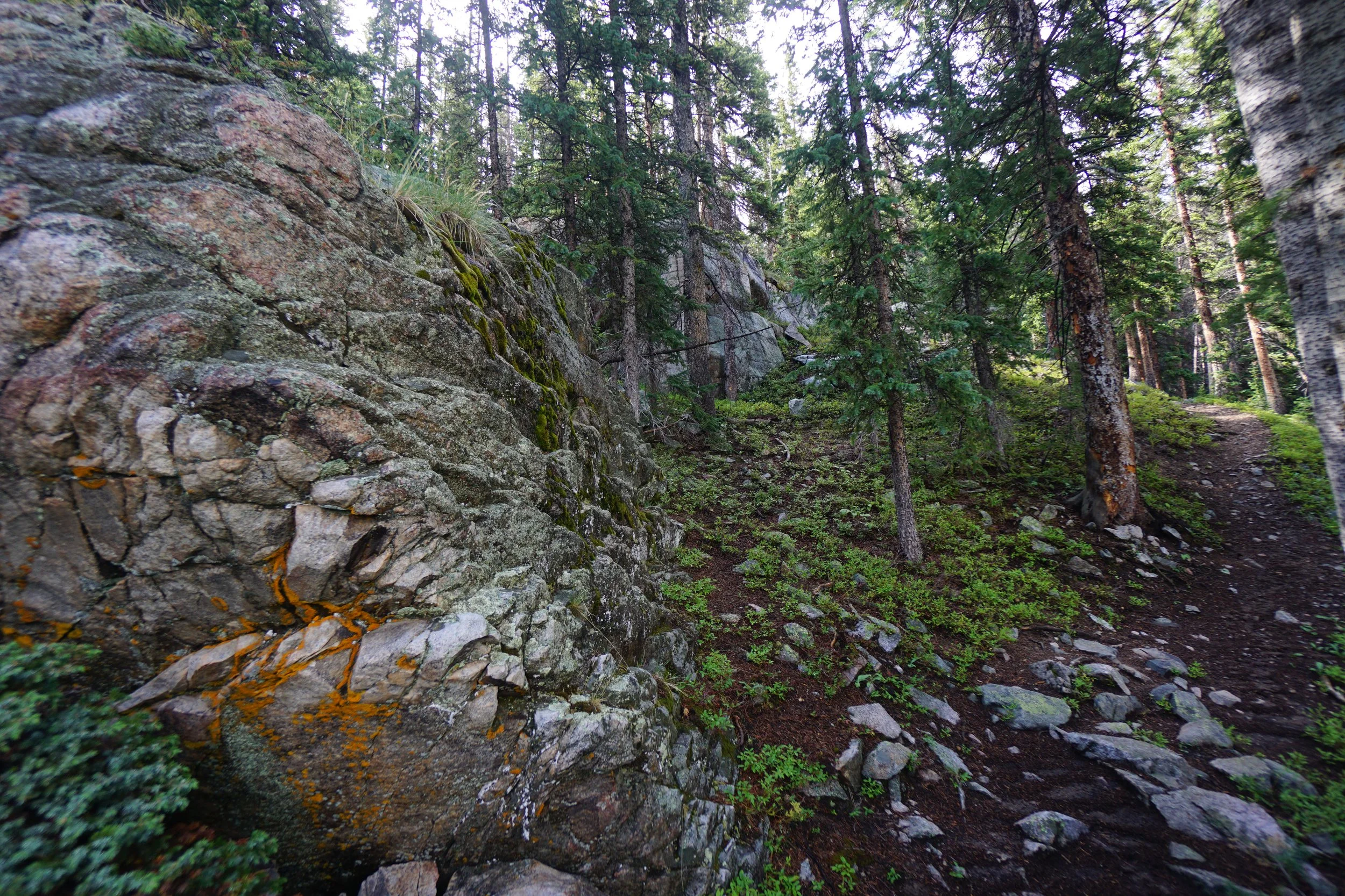 MillLakeDSC03870.JPG
