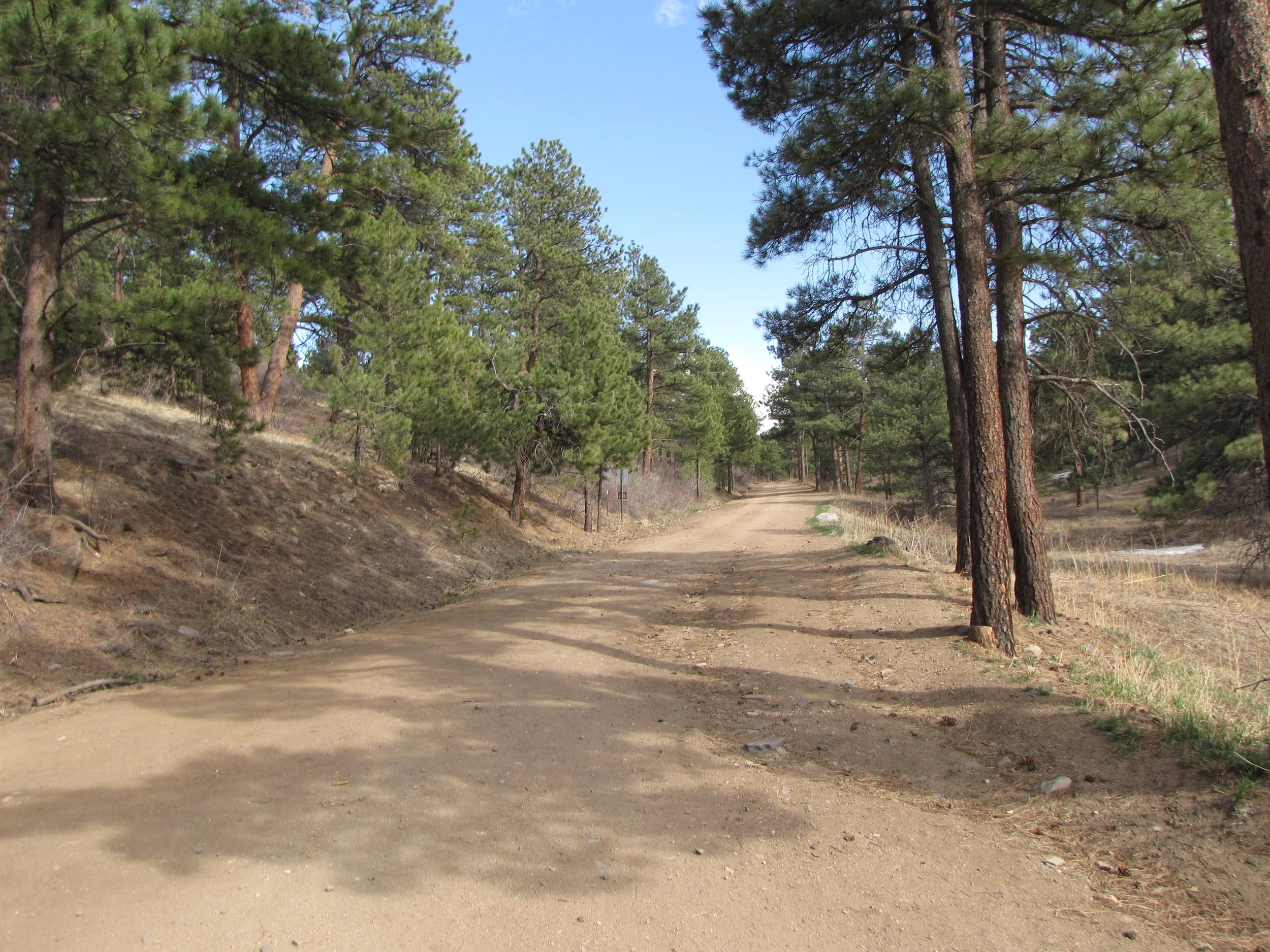 BBChavezIMG_4304.JPG