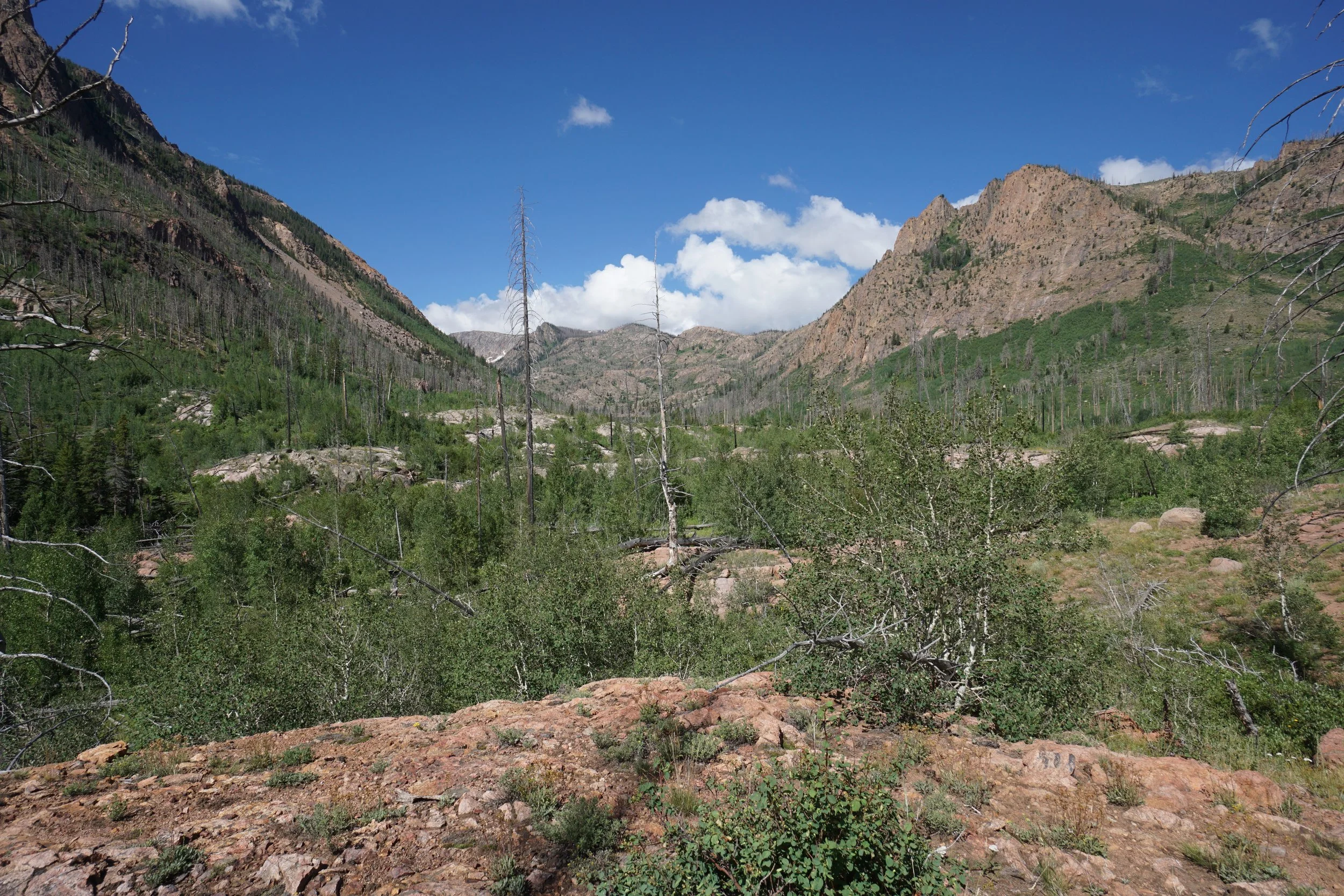 RedCanyonDSC04136.JPG