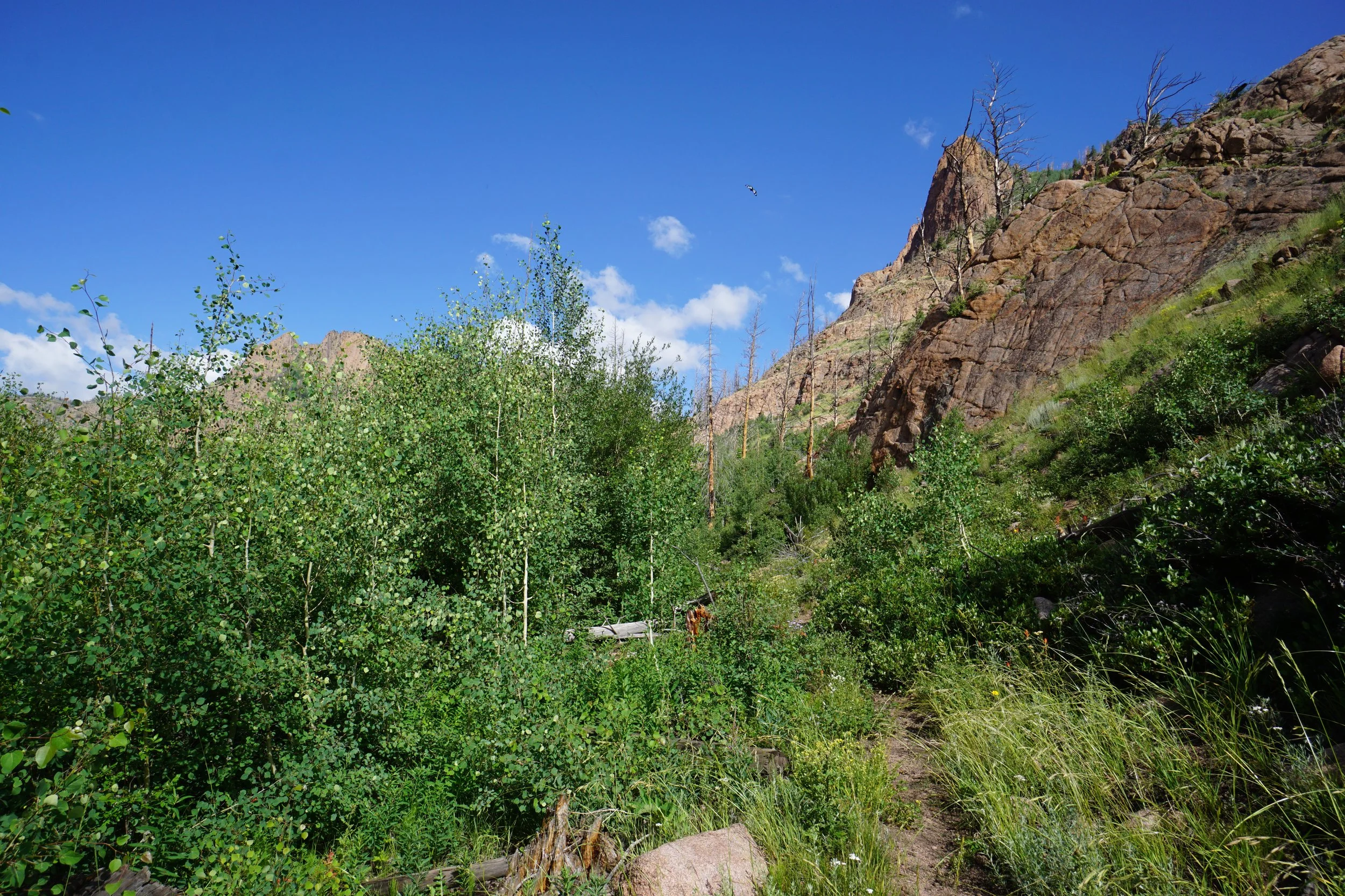 RedCanyonDSC04123.JPG