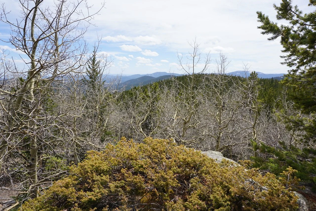 DSC03756-X2.jpg