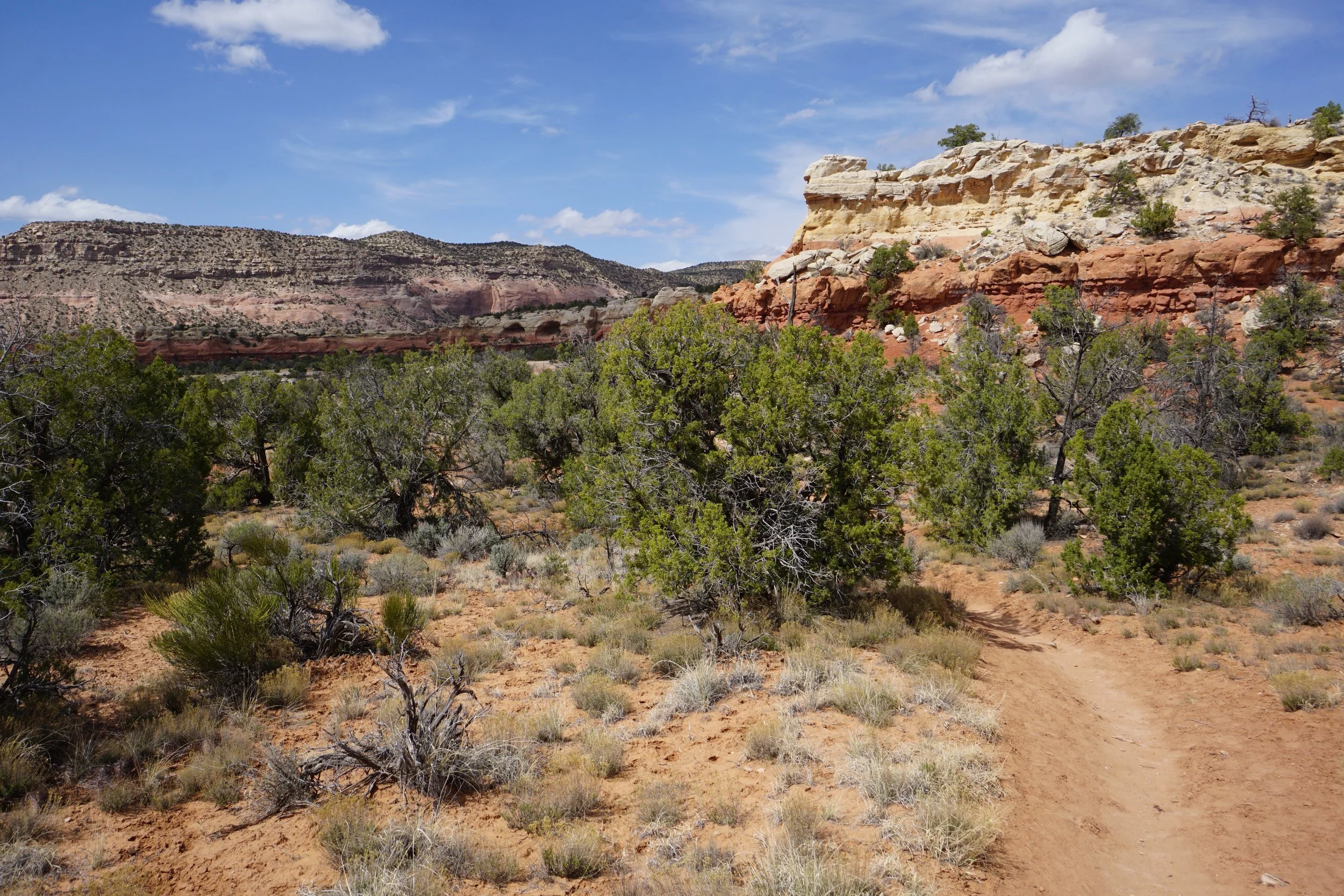 SandCanyonDSC03426.JPG