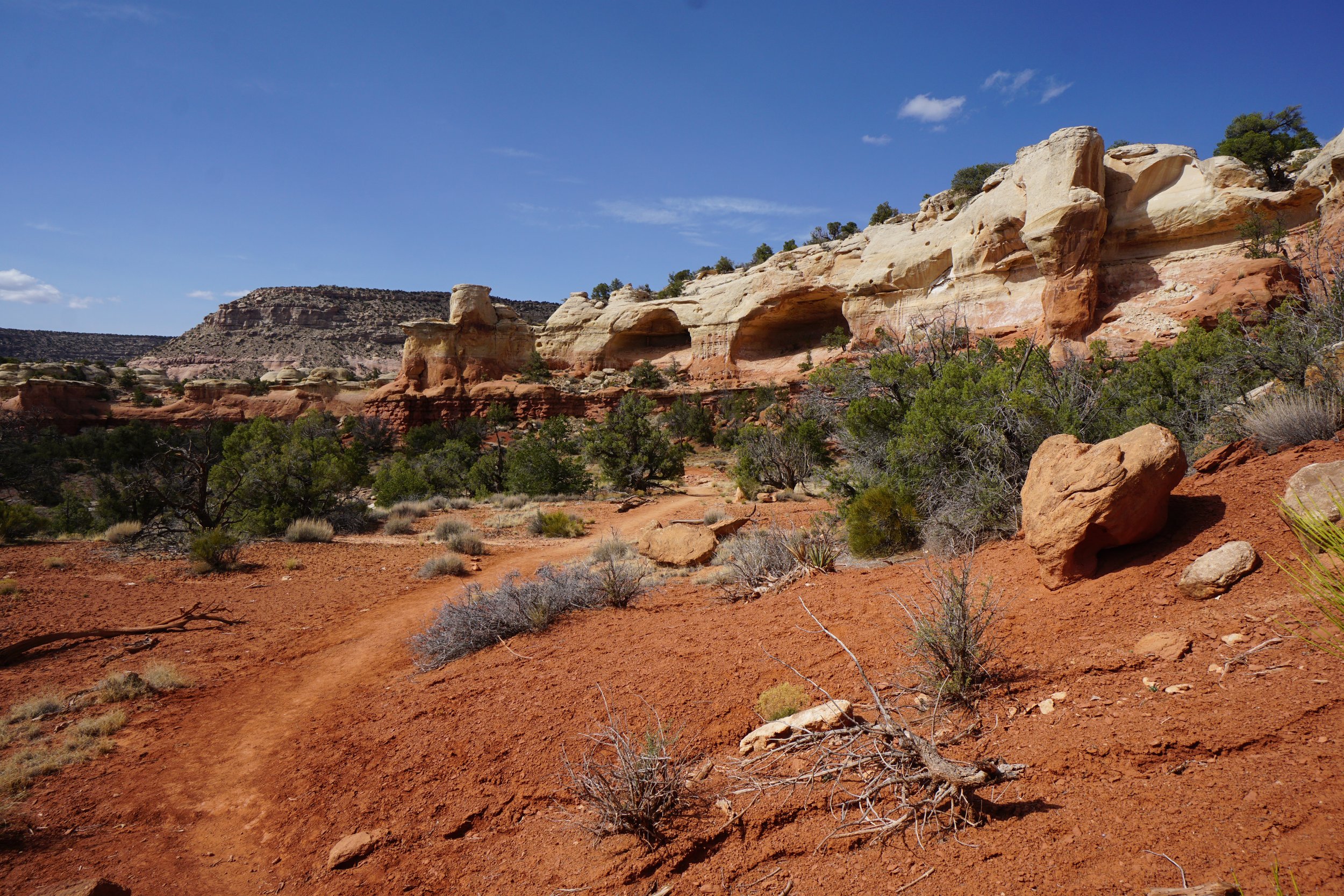 SandCanyonDSC03495.JPG