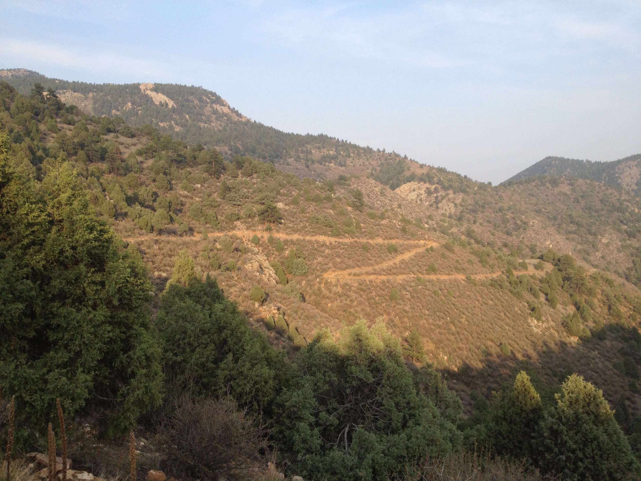 MayhemIMG_3306.jpg