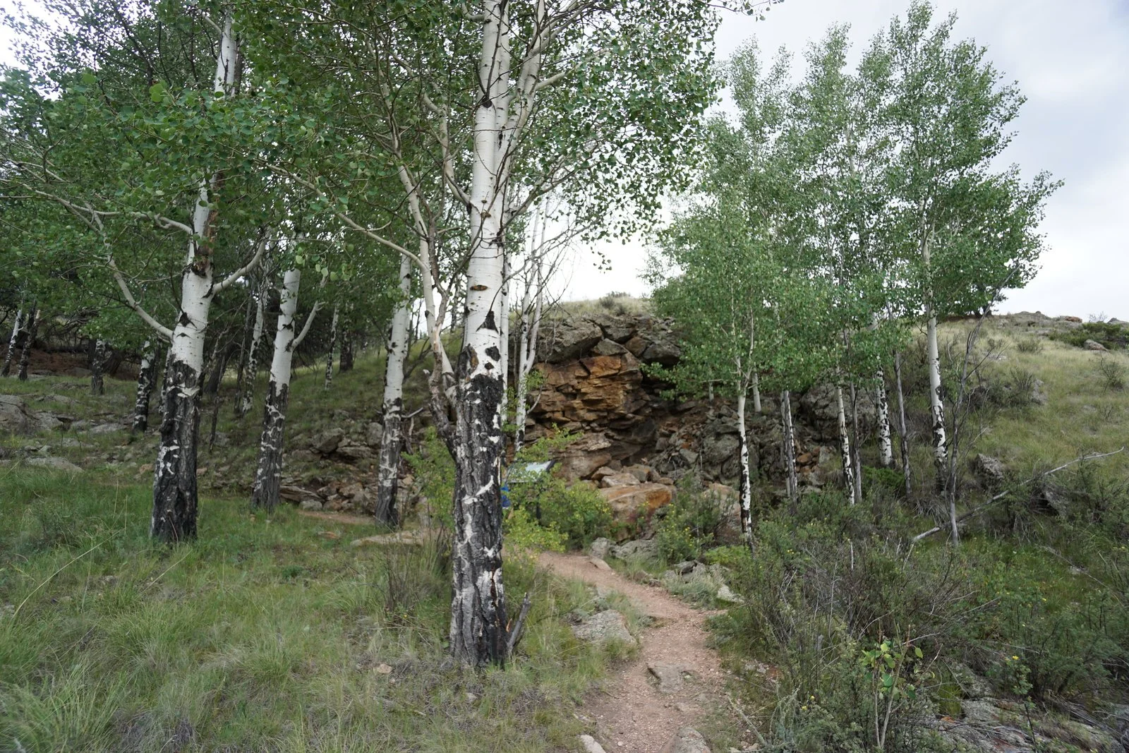 DSC06400-X3.jpg