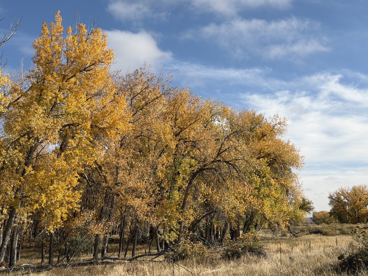 IMG_8449-X2.jpg