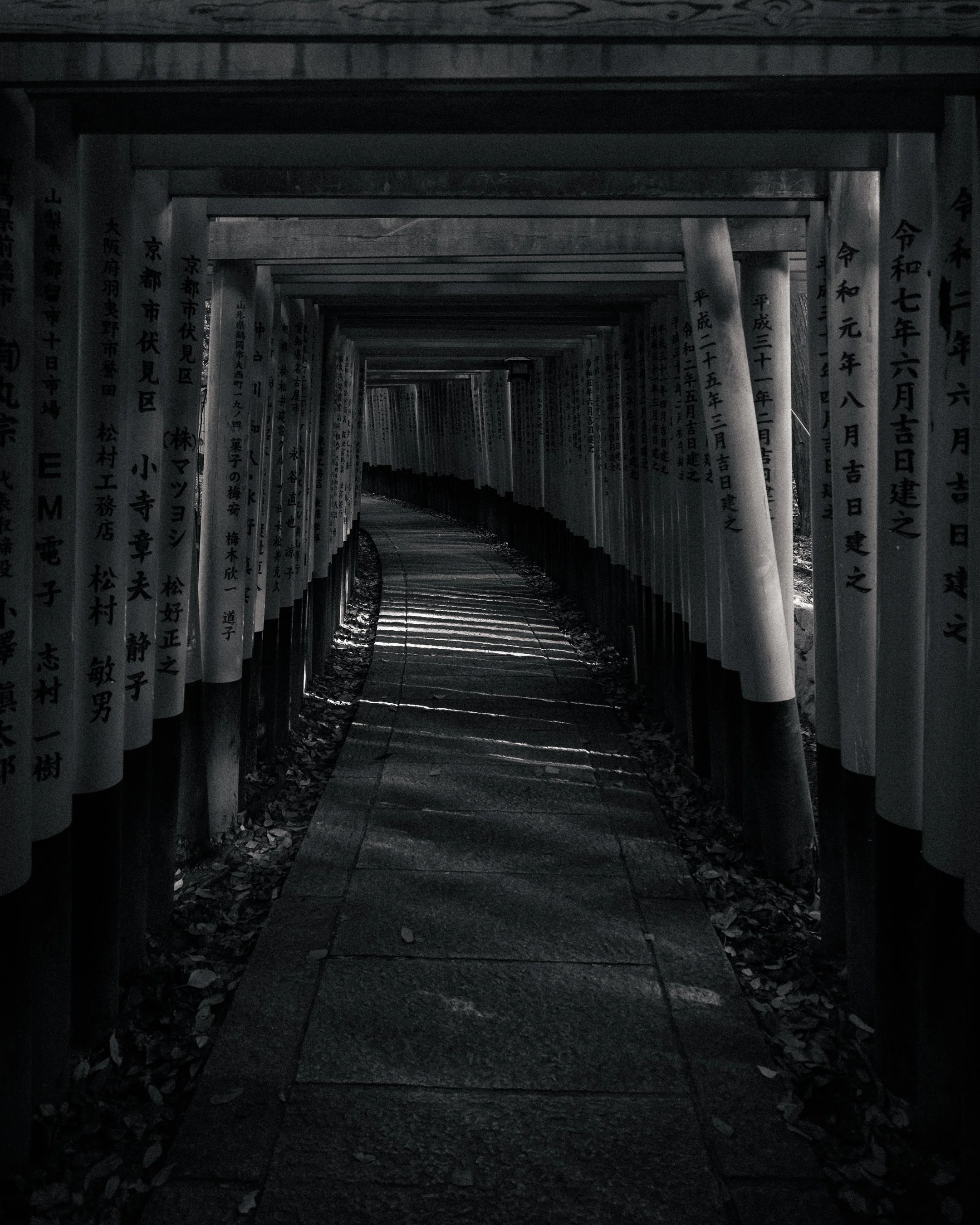 DSCF8477-3.jpg